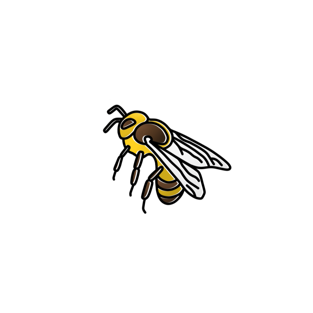 Finding the Right Place ~