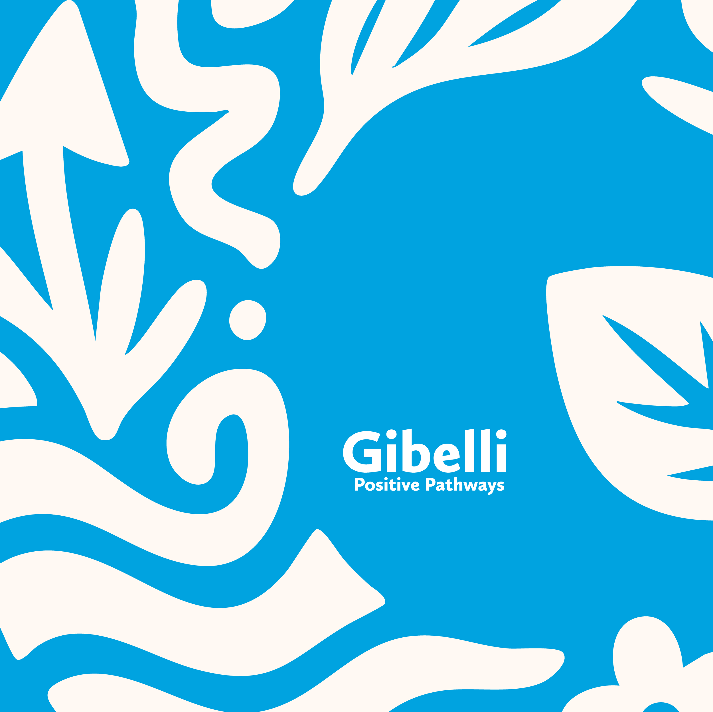      

 
   What is an FBA? A Parent’s Guide to NDIS Functional Behaviour Assessments  If you have recently received an NDIS plan with "Improved Relationships" funding, you may have heard the term  FBA  or  Functional Behaviour Assessment .  For many