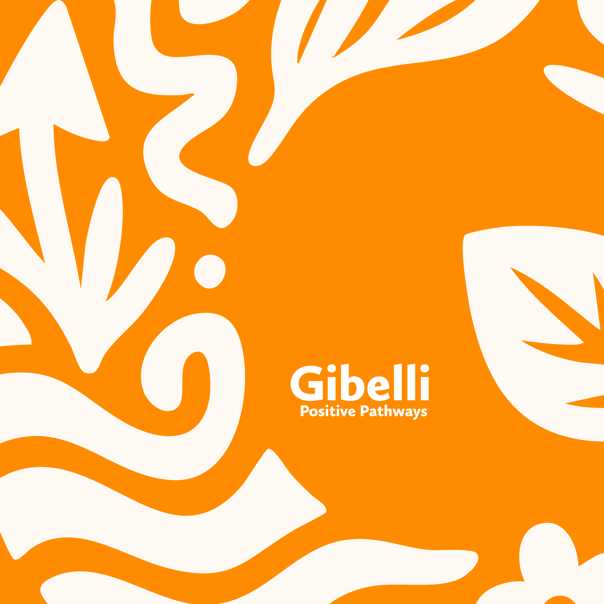 School Transitions in 2026: How PBS Sets Students Up for Success in Melbourne’s North