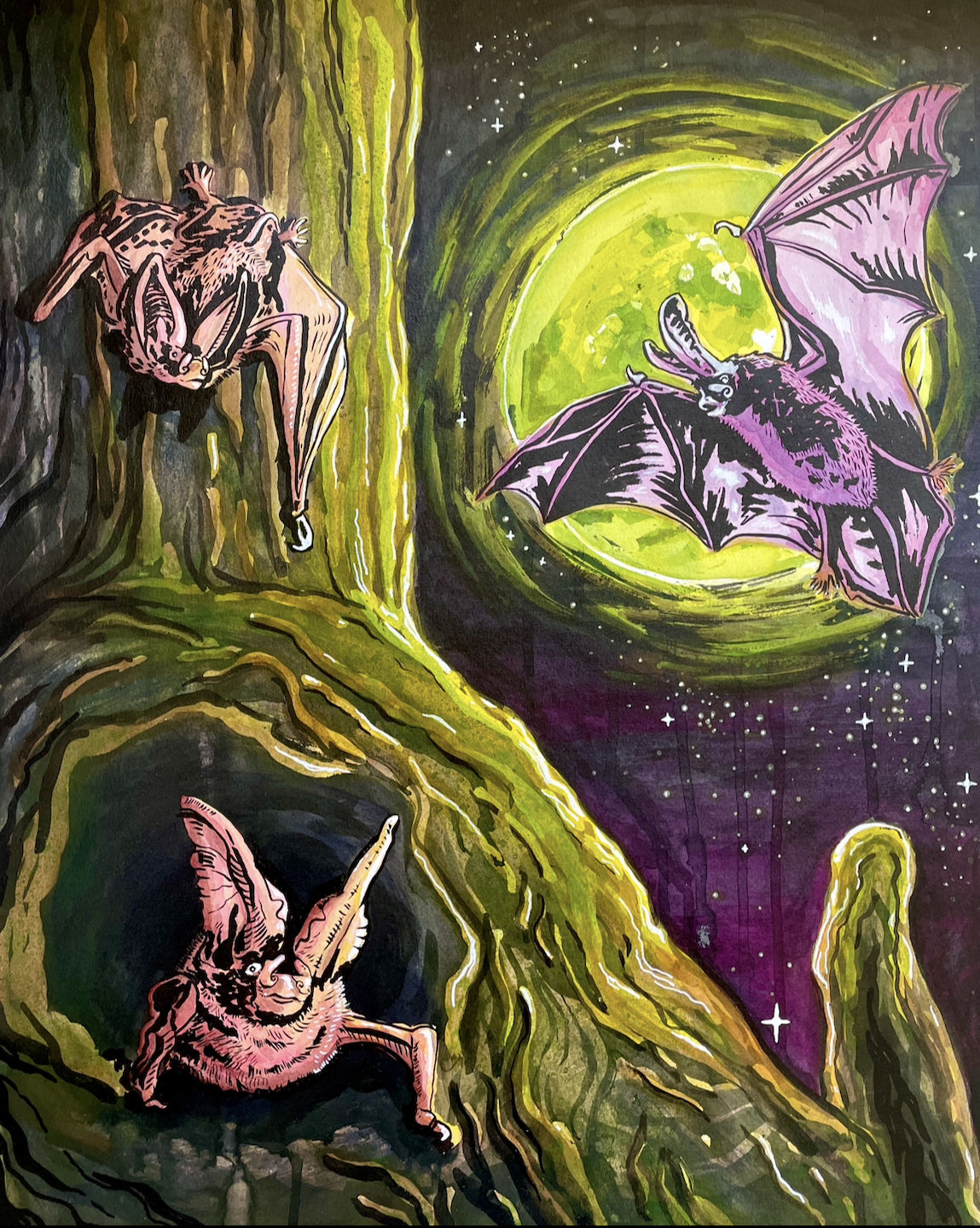 Big Eared Bat.PNG