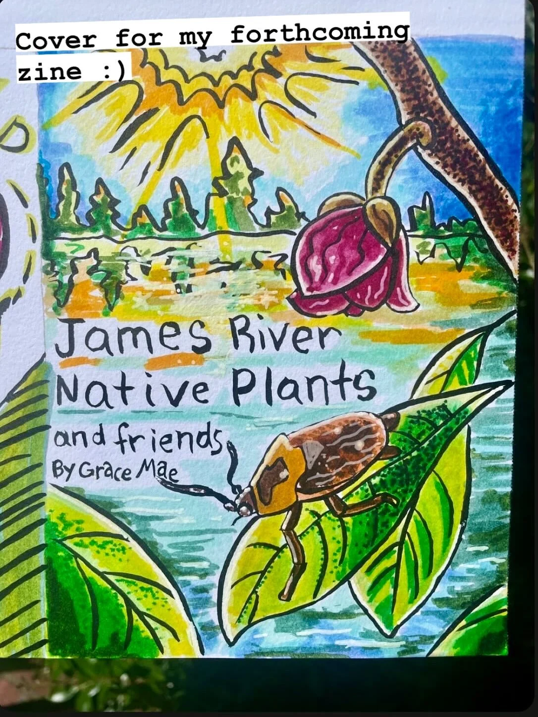 August Art, Nature, and Life UP ⬆️ DATE! 
✏️ 🖊️ 🎨 🌱 🐸 🐢 🐍 🌅 💕 🫟 👽 🌳 🌊 
What are some songs that really get you pumped up? I have a lot of work to do to prep for the upcoming @saacenter Arts in the Park this weekend!
