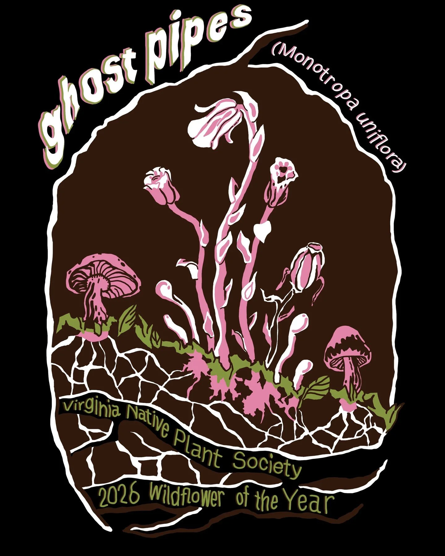 Here's my submission for the @virginianativeplants wildflower of the year contest! #ghostpipes #virginianativeplants
