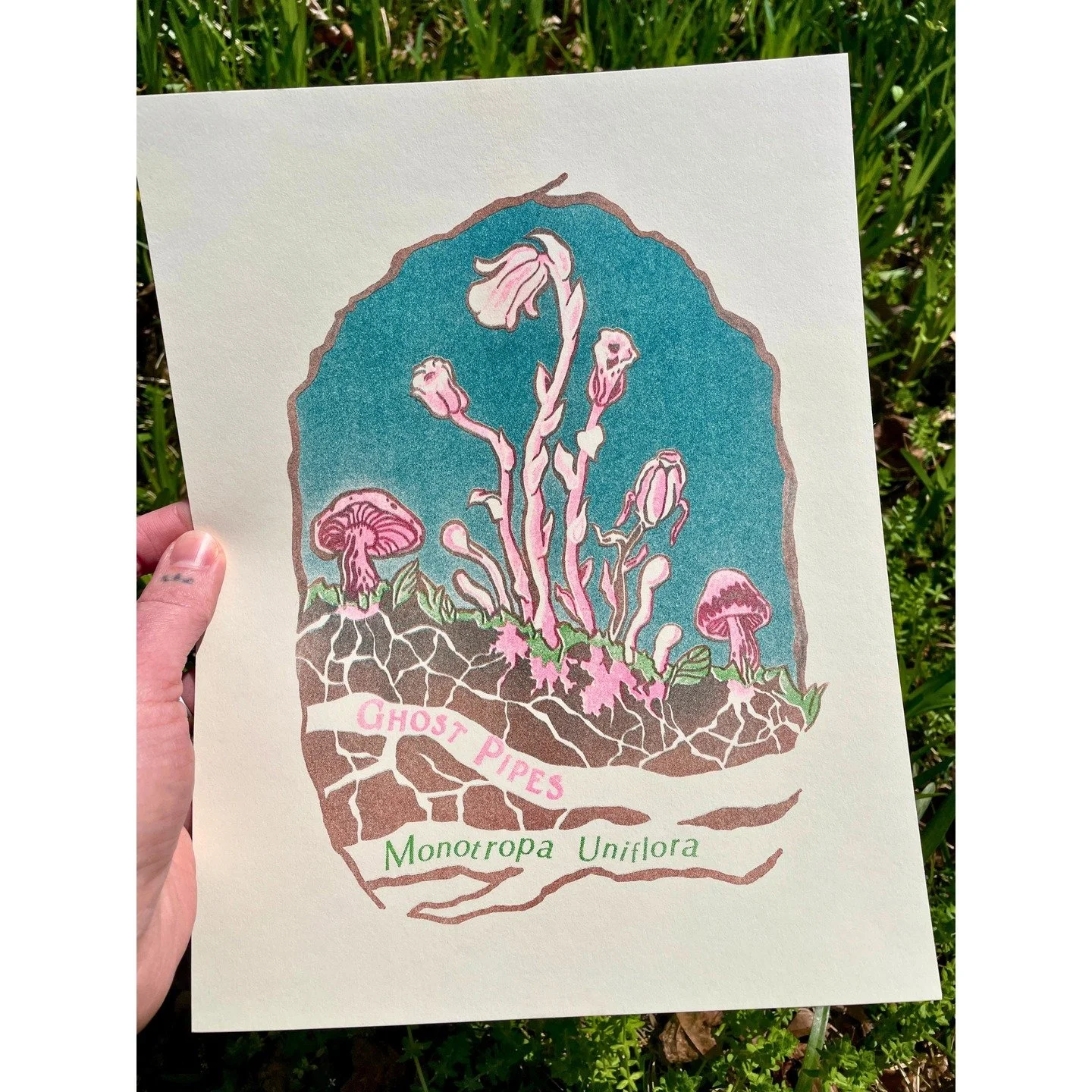 Hello! I am excited to announce that my Ghost Pipes risograph print is now available on my site for purchase :) It is an 8 x 10 inch 4 color riso print on off white paper. This fascinating flower is the 2026 @virginianativeplants wildflower of the ye