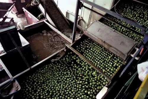 Precooling Methods for Fresh Produce — PostHarvest Technologies