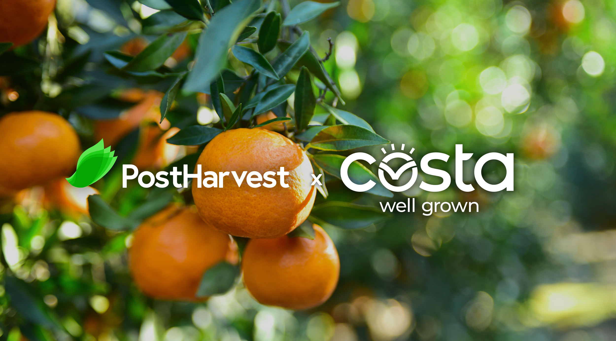 PostHarvest and Costa Announce National Rollout