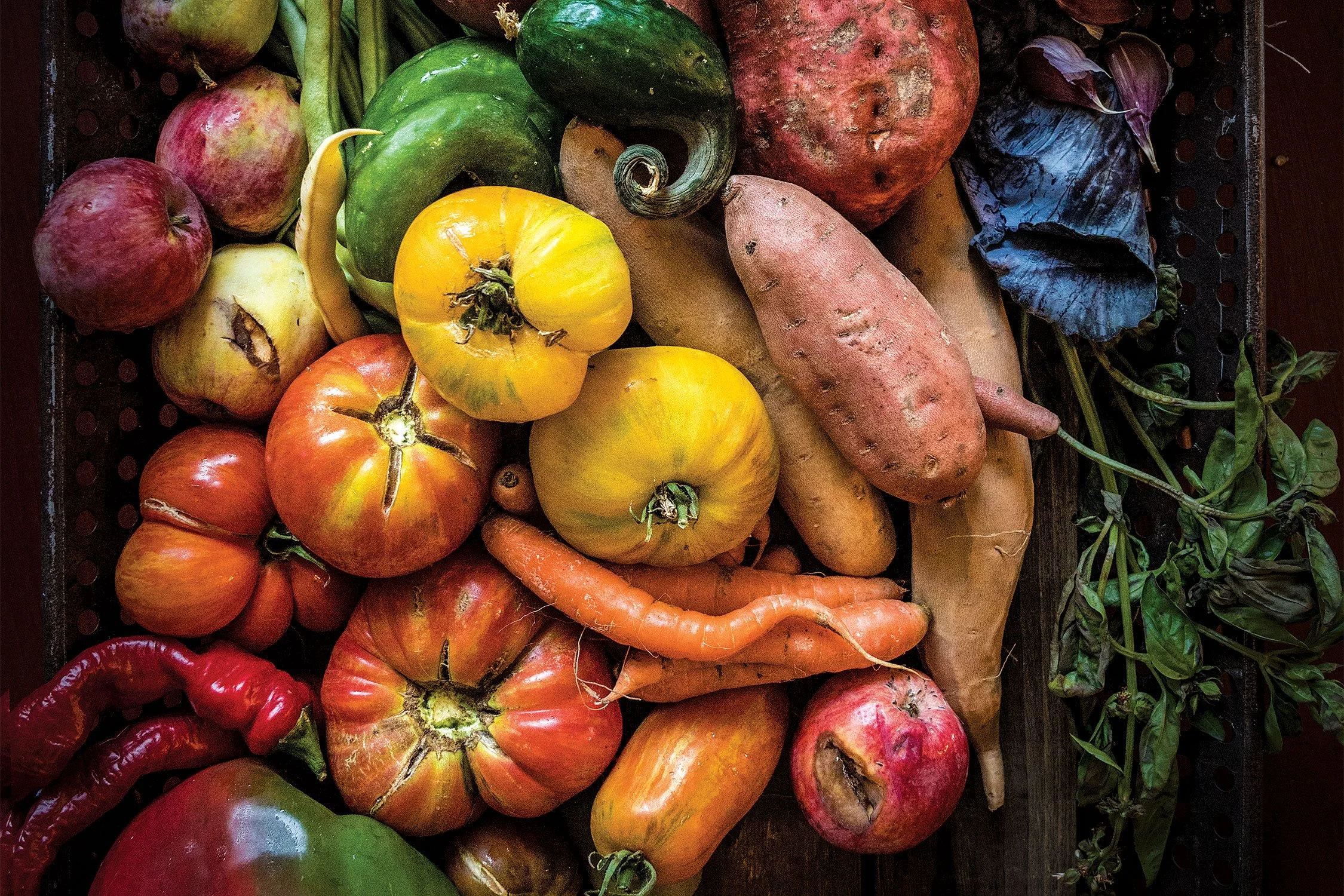How Embracing Imperfection Fights Food Waste