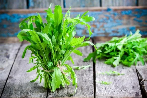 Rocket (Arugula) — PostHarvest Technologies