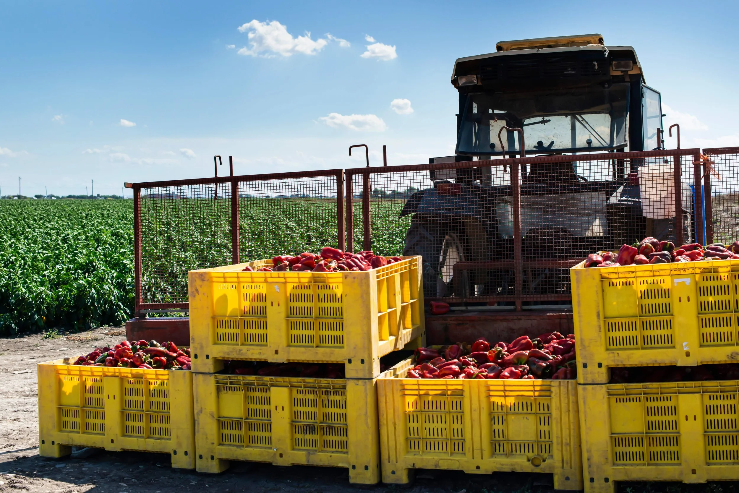 Farm to Fork: Navigating the Journey of Fresh Produce — PostHarvest ...