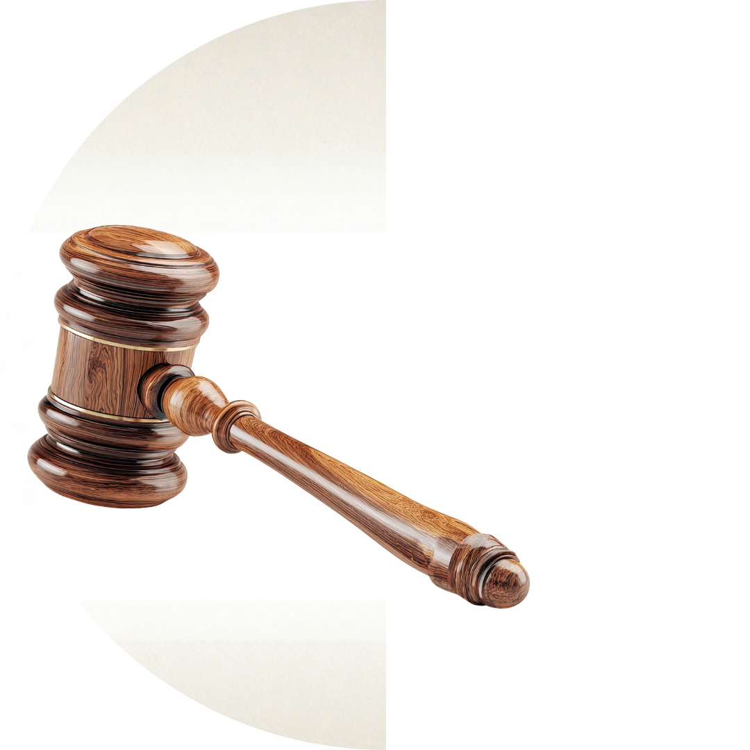 Climate litigation is democracy at work, not a ‘misuse’ of the courts