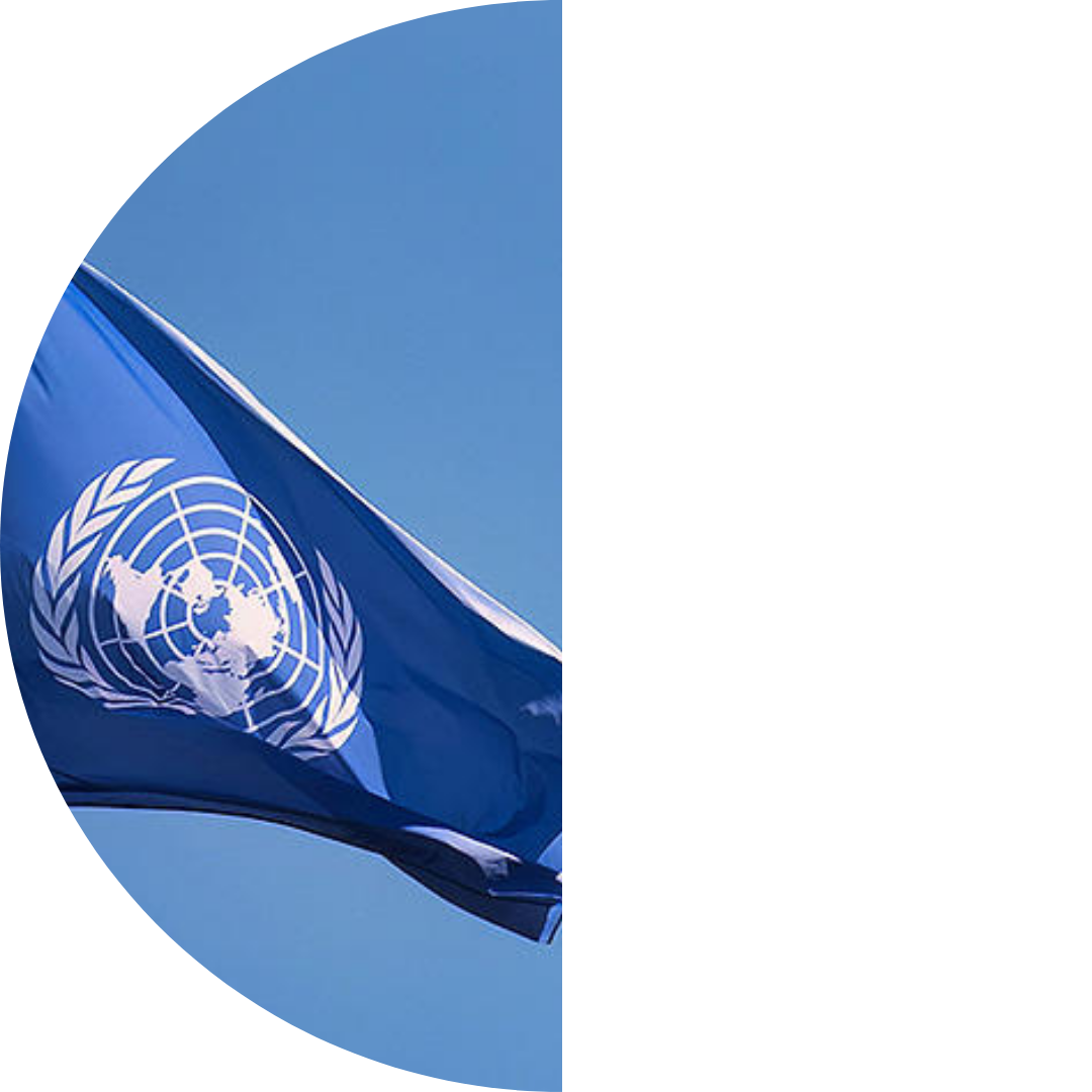 UN vote confirms protecting the climate is a legal obligation, not a choice