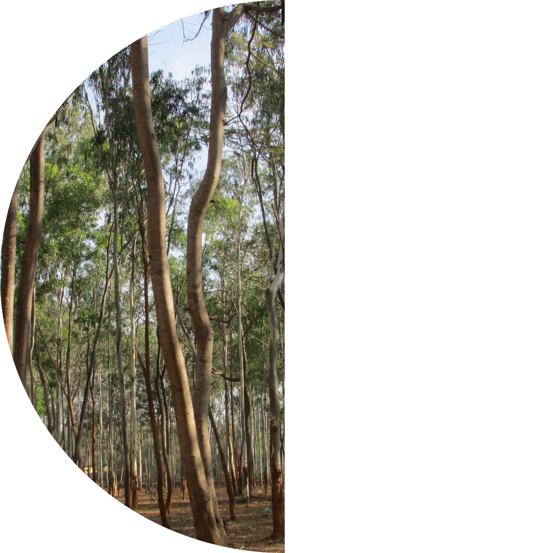 What we told the Climate Change Authority about Australia's progress