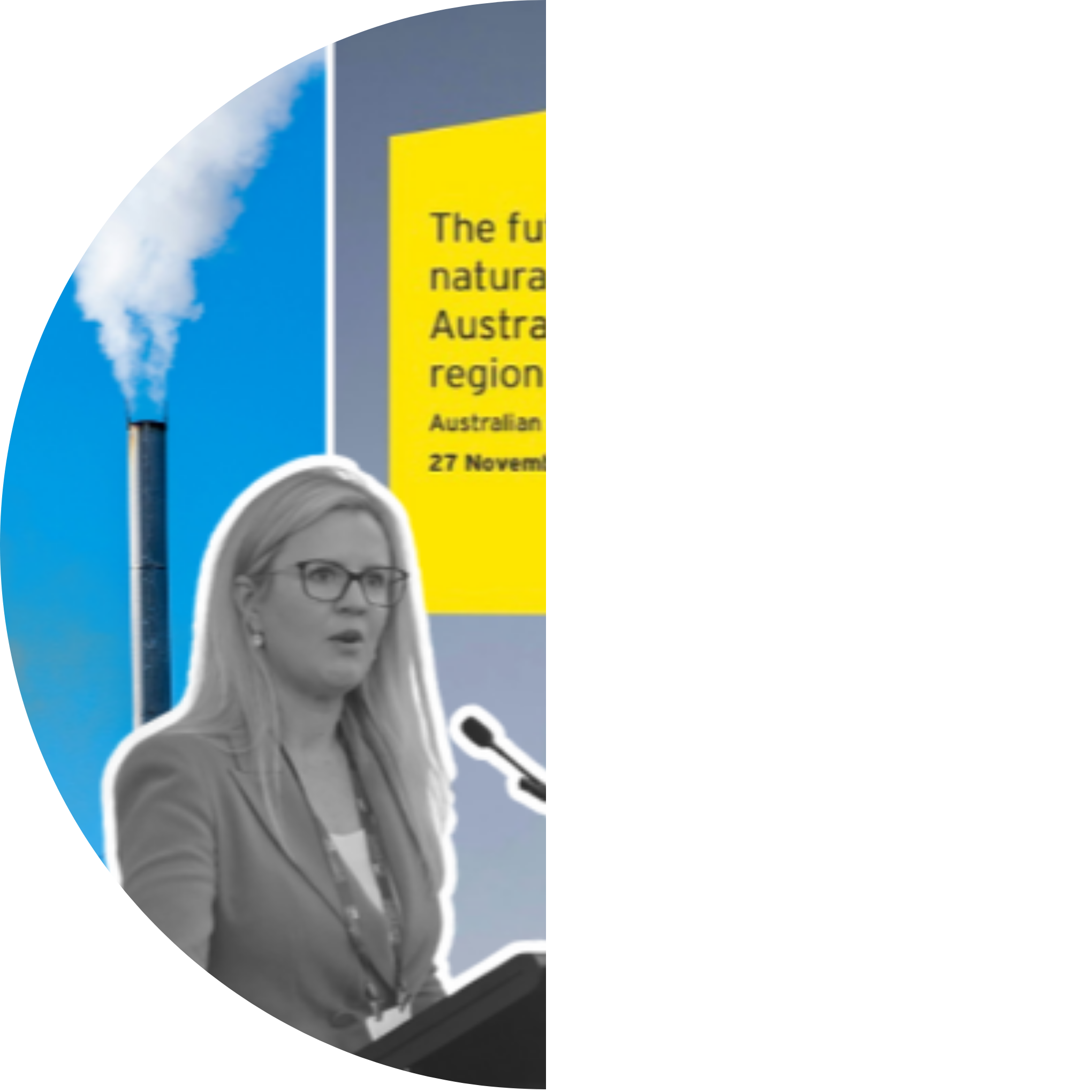 How Big Consulting Firms Undermine Climate Action