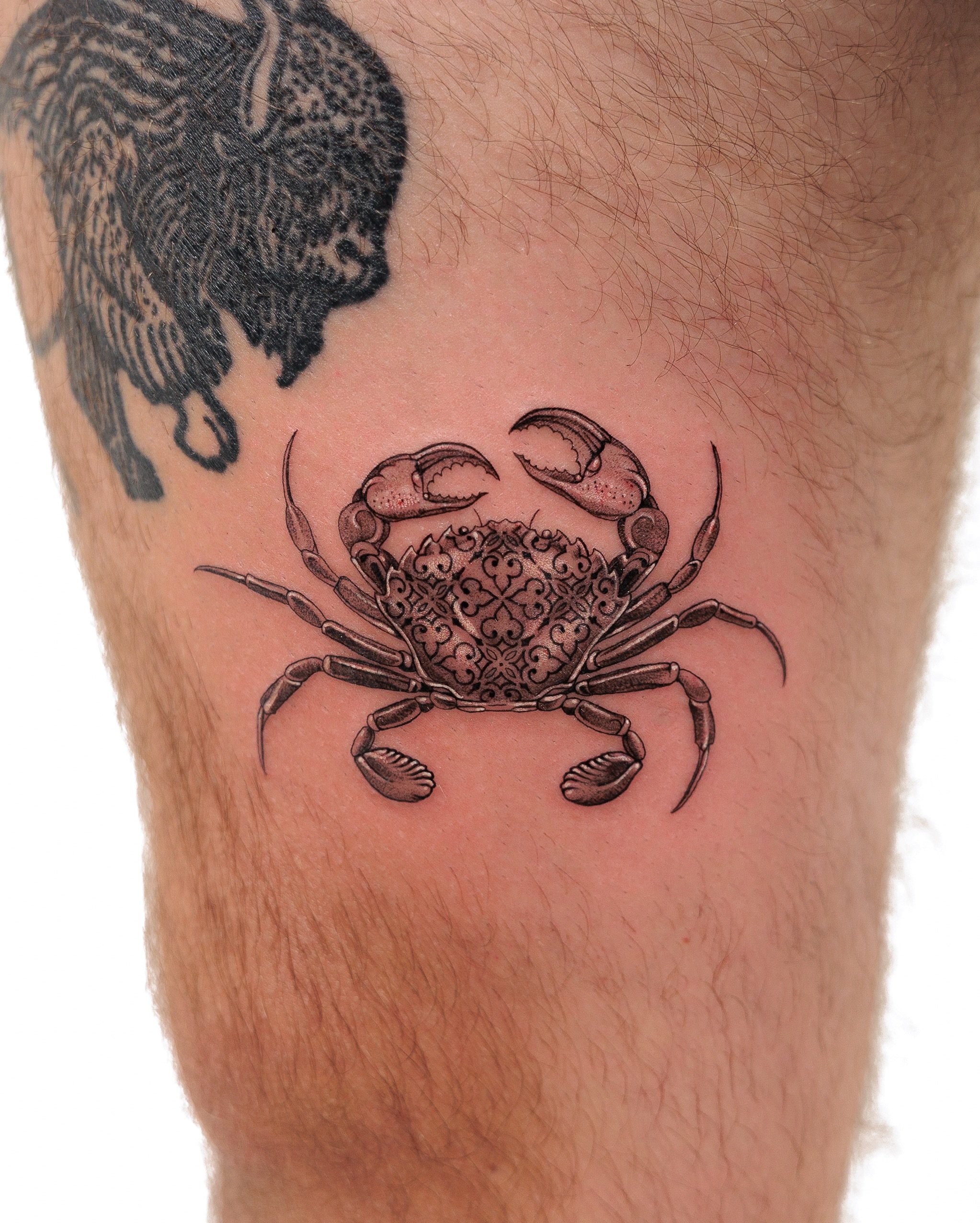 Ornamental Crab

By @lozzarachtattooer for Sebastian