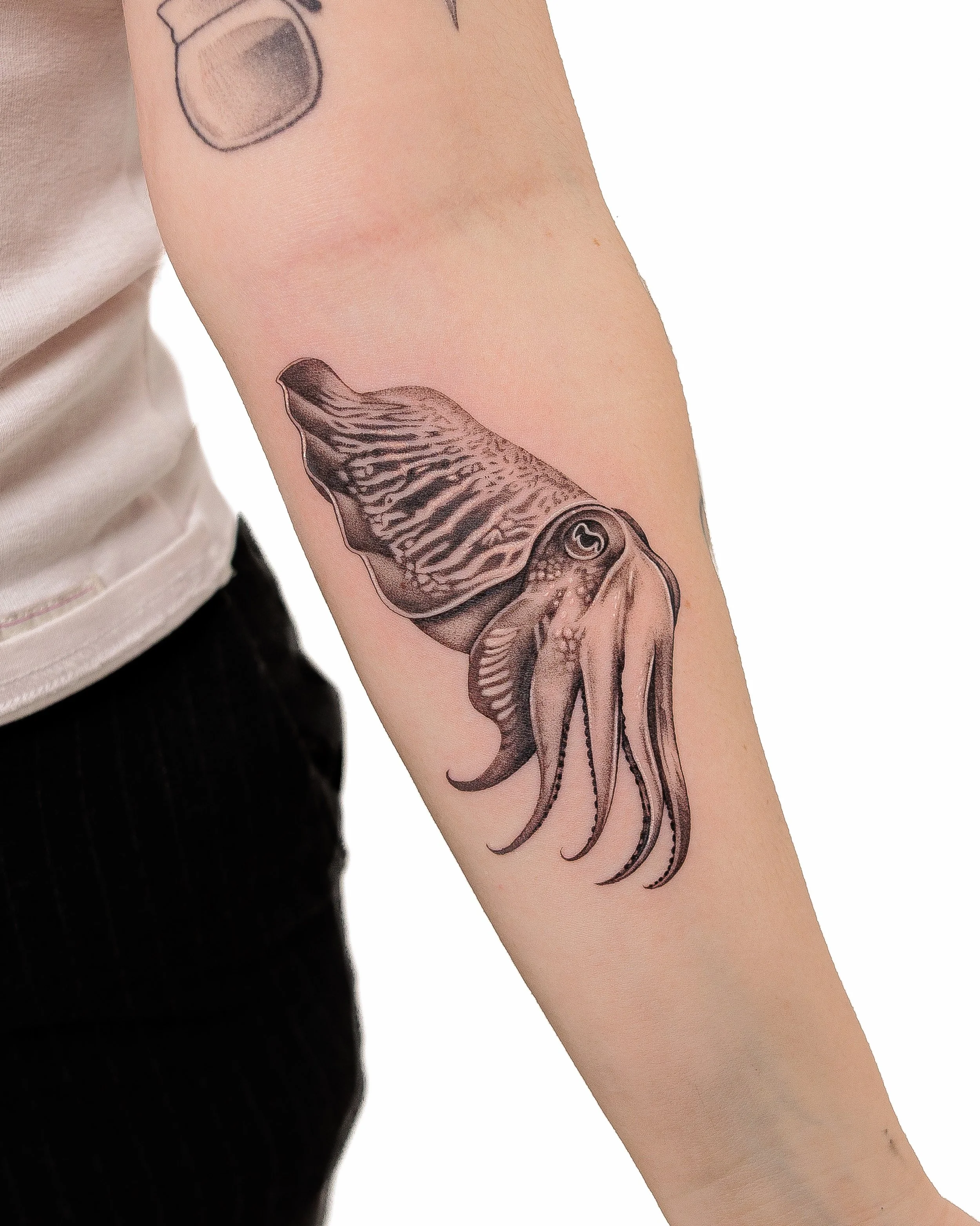 Cuttlefish

By @tatsbysock for Isabelle