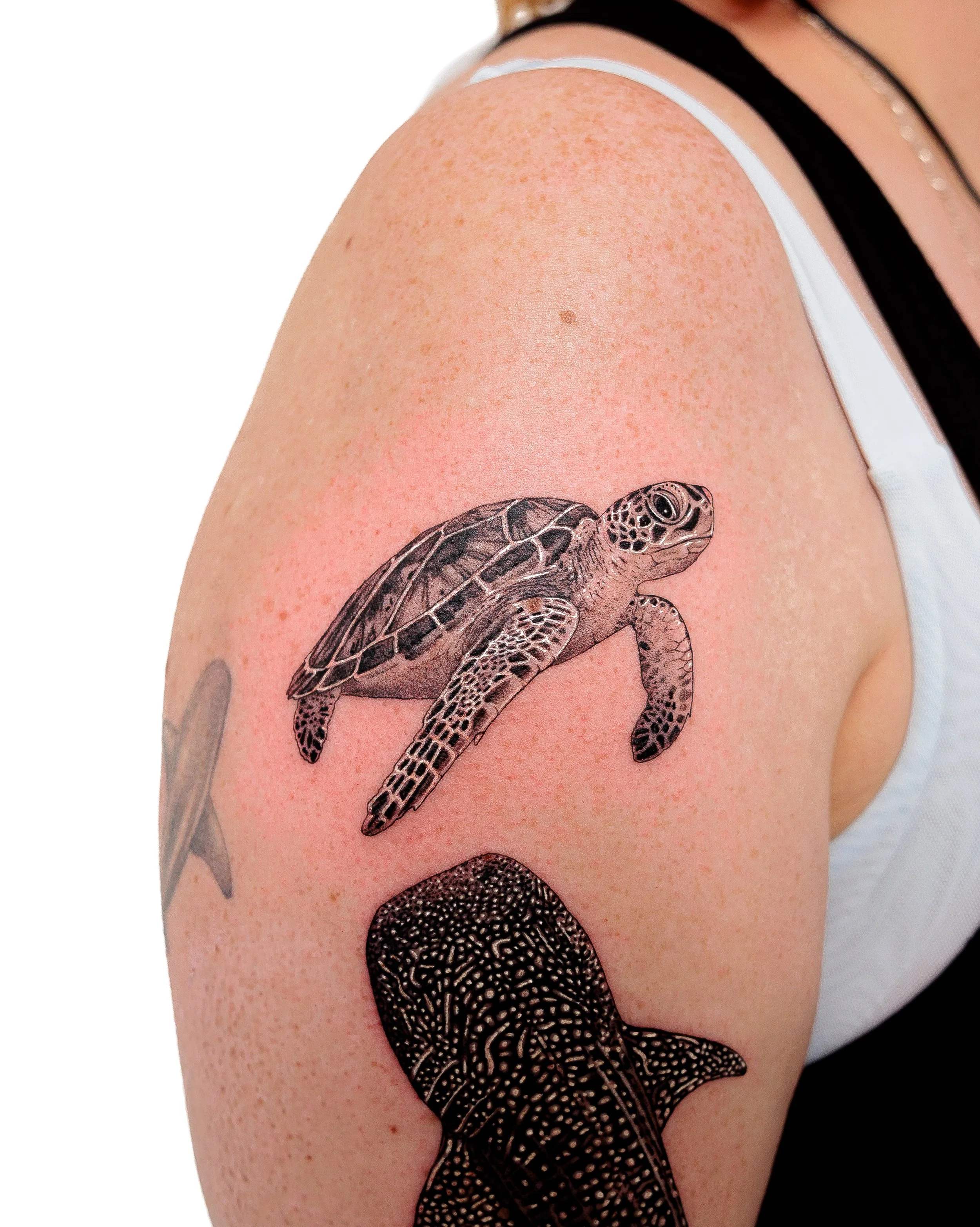 Turtle

By @lozzarachtattooer for Kathryn