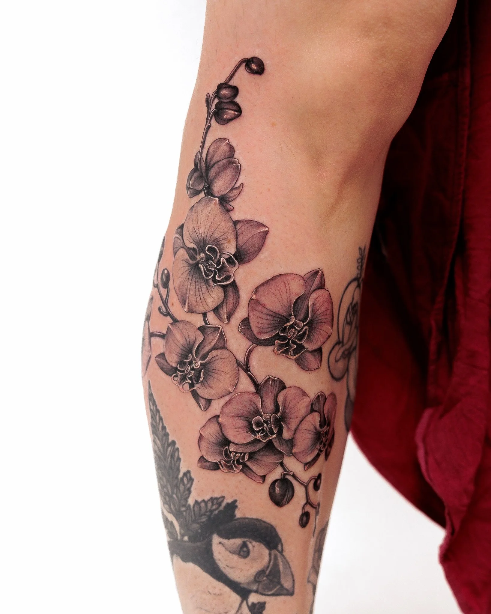 Orchids

By @ellietattoo for Jaqui