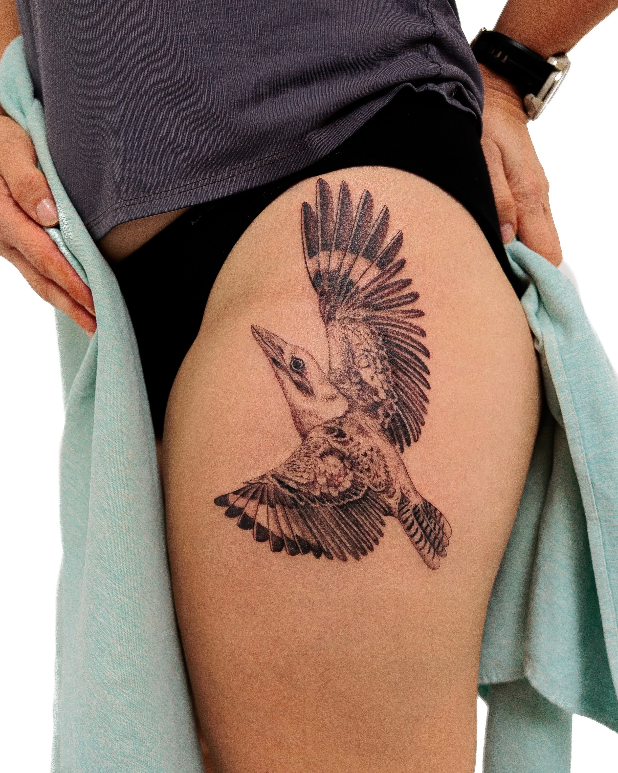 Kookaburra

By @tatsbysock for Laura