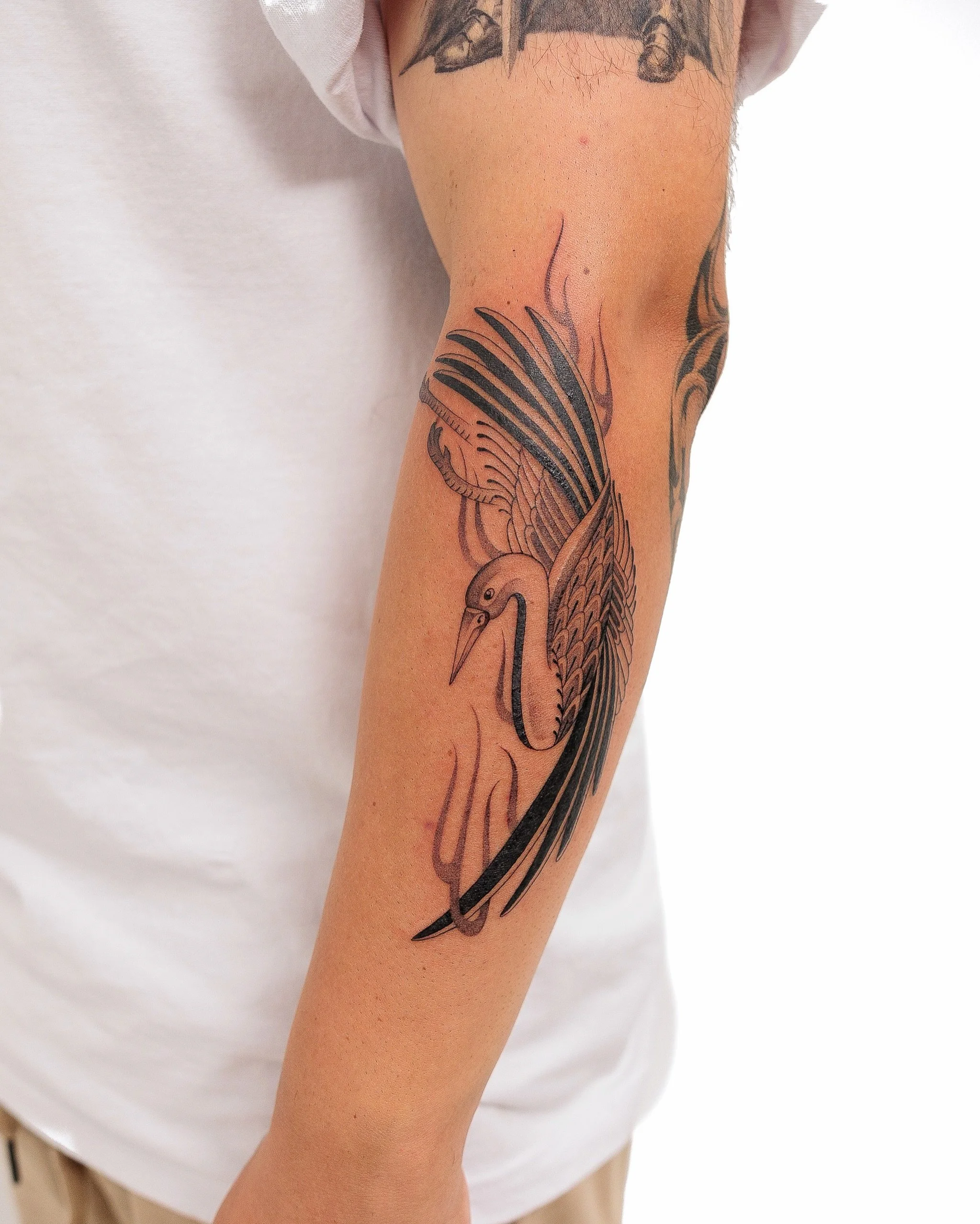 Flaming Crane

By @bysophiesheppard for Scott