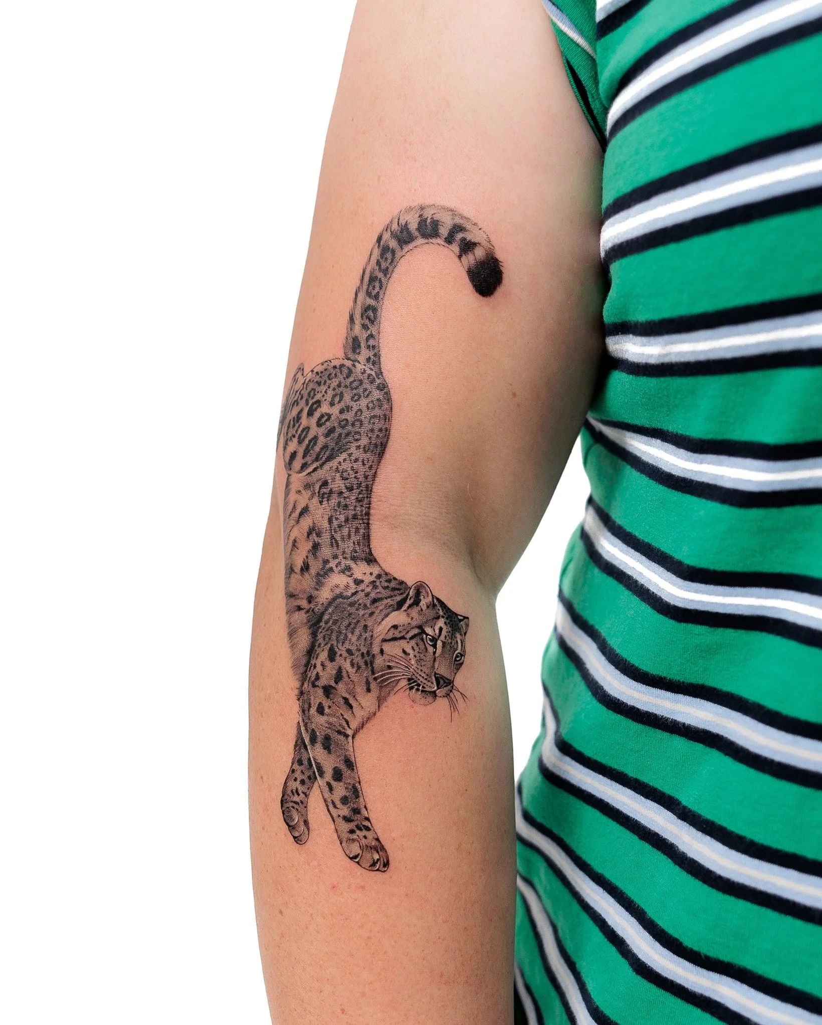 Snow Leopard

By @savv.ink for Sophie