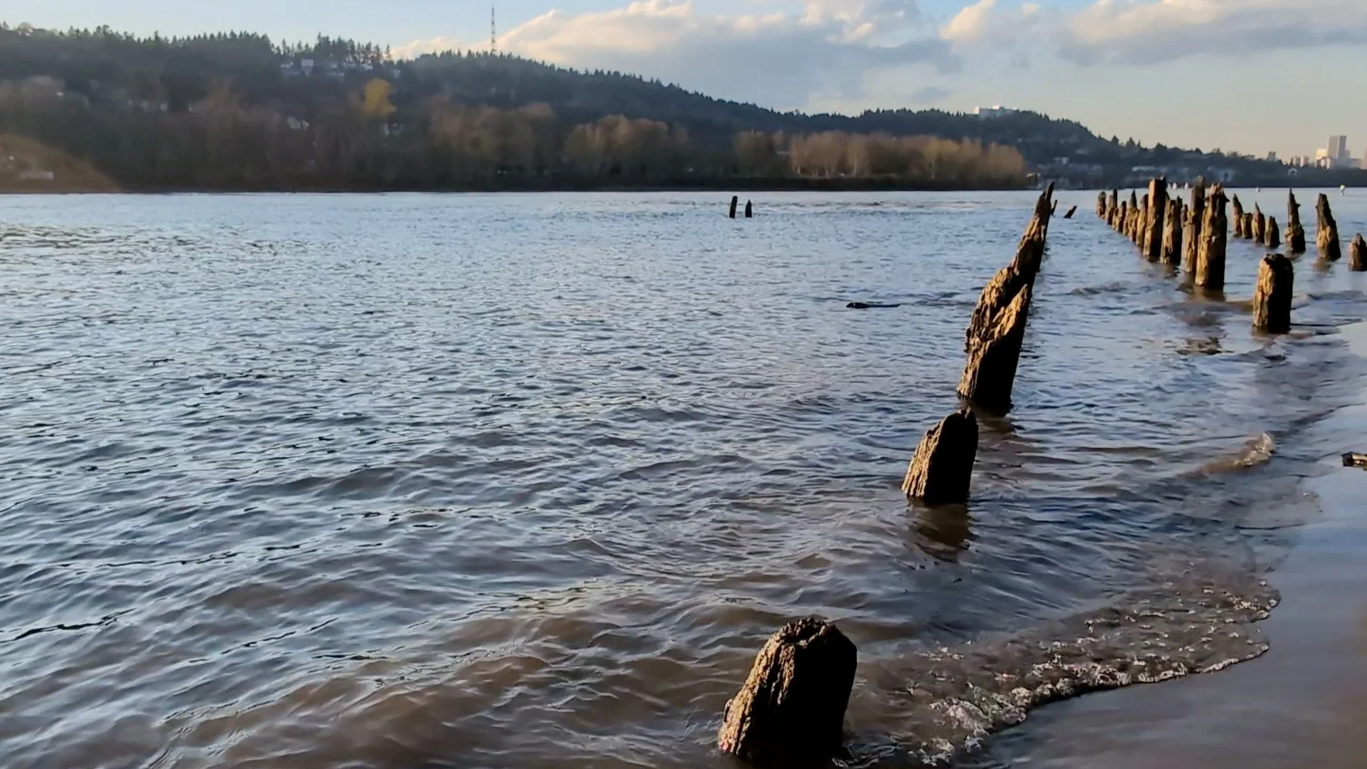 Still from video of sellwood waterfront
