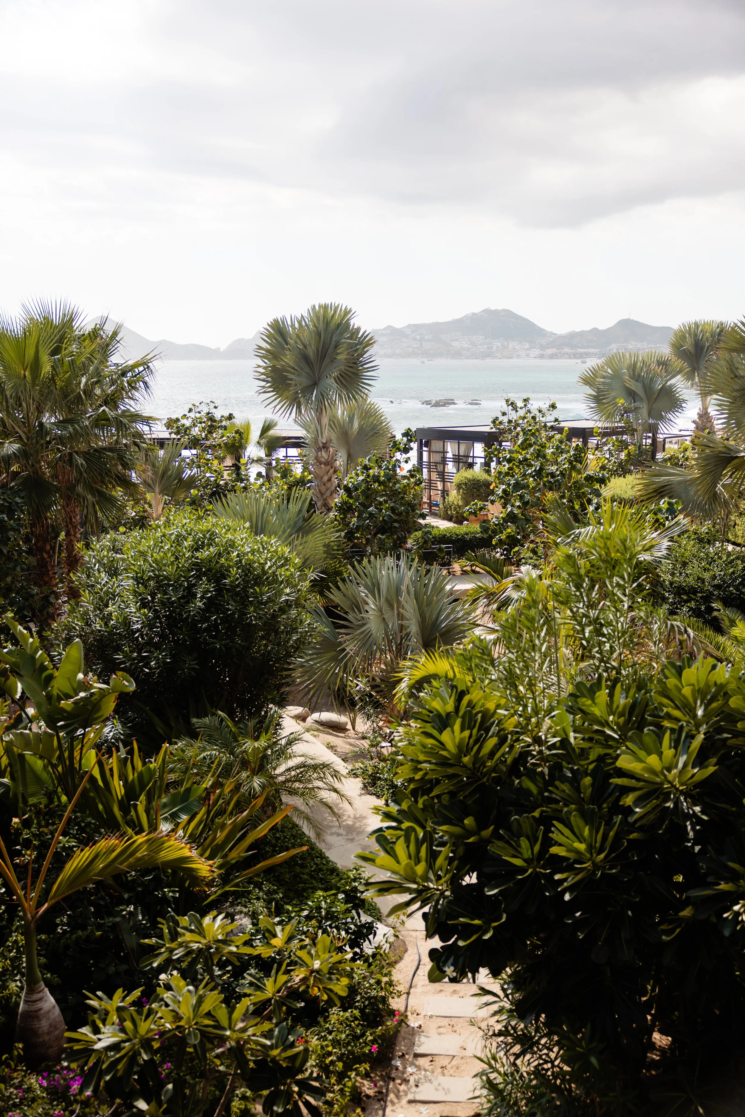 Fabi Rosas Cabo WEdding Photographer - J&M-1.jpg