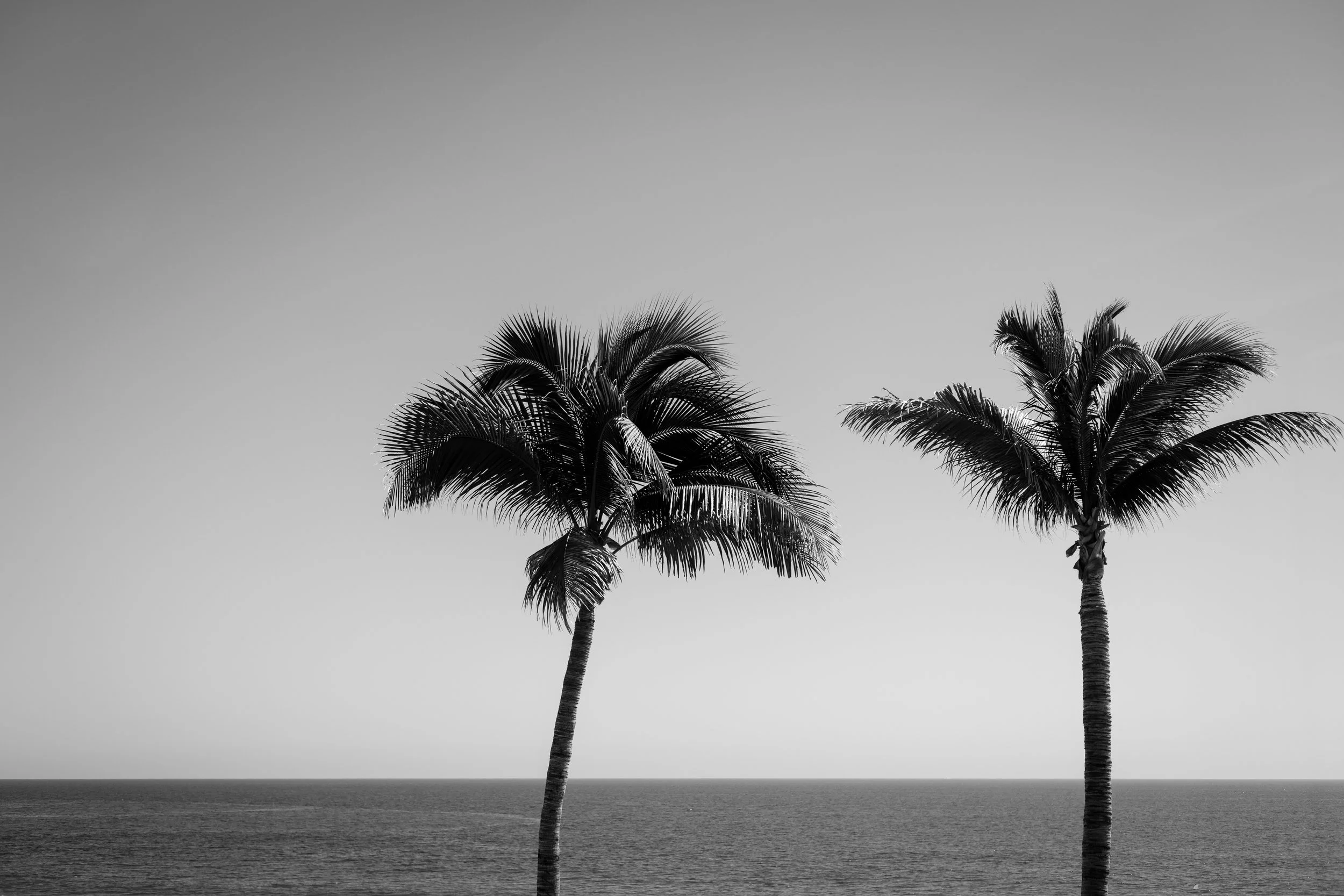 Fabi Rosas Photographer -Baja Luna Wedding - A&L-1.jpg