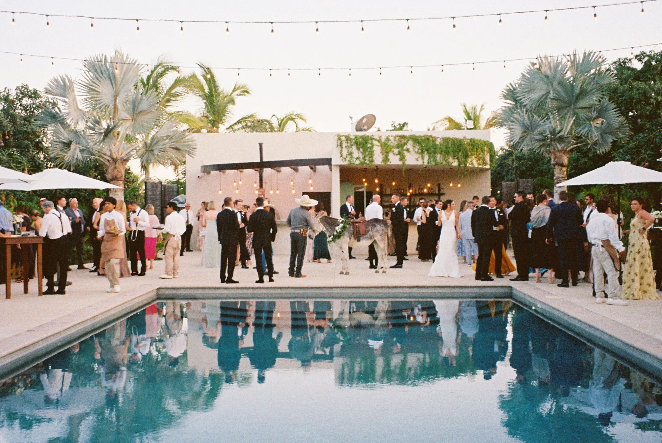 Film Cabo Wedding T&M-18.jpg