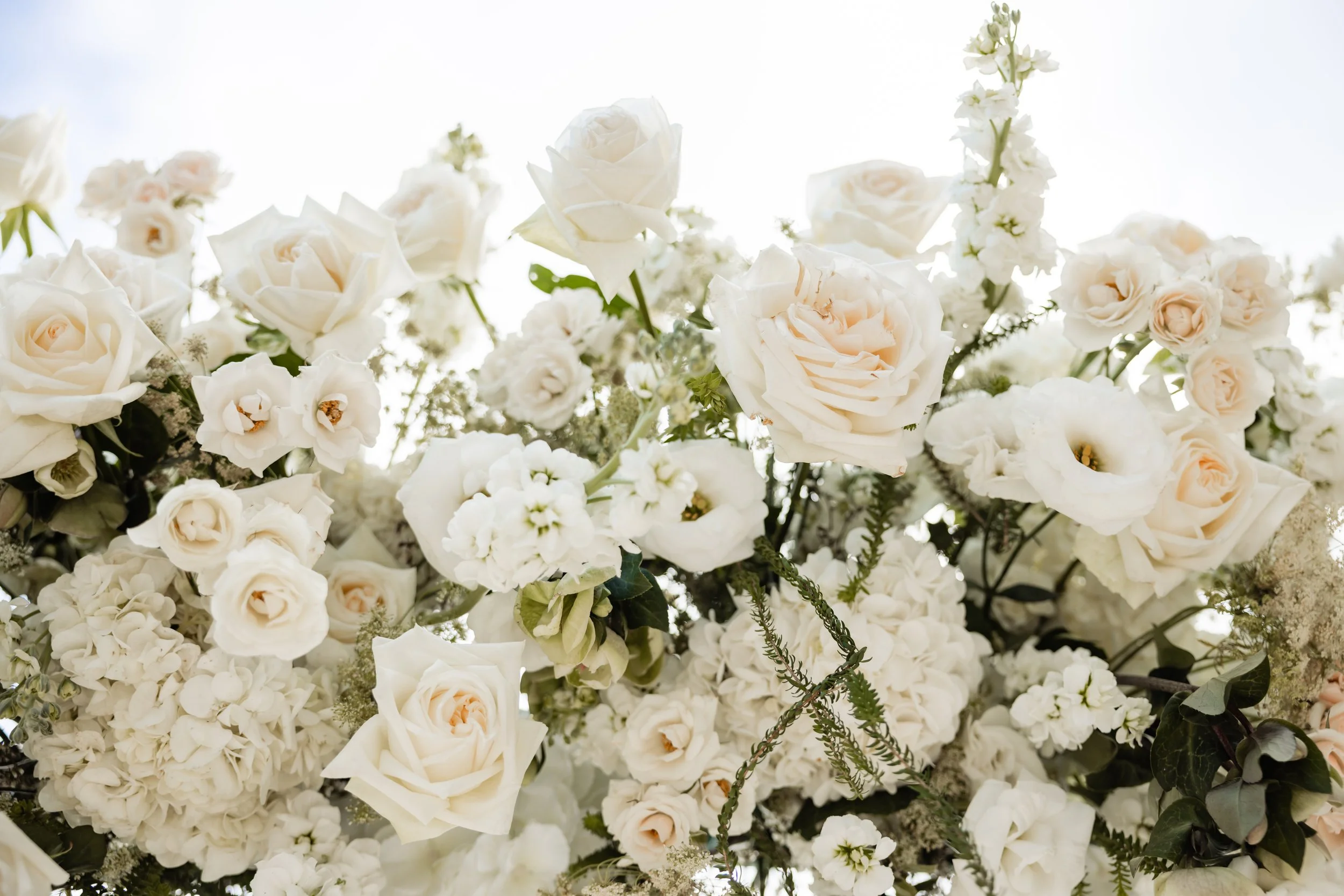 Fabi Rosas Cabo WEdding Photographer - J&M-197.jpg