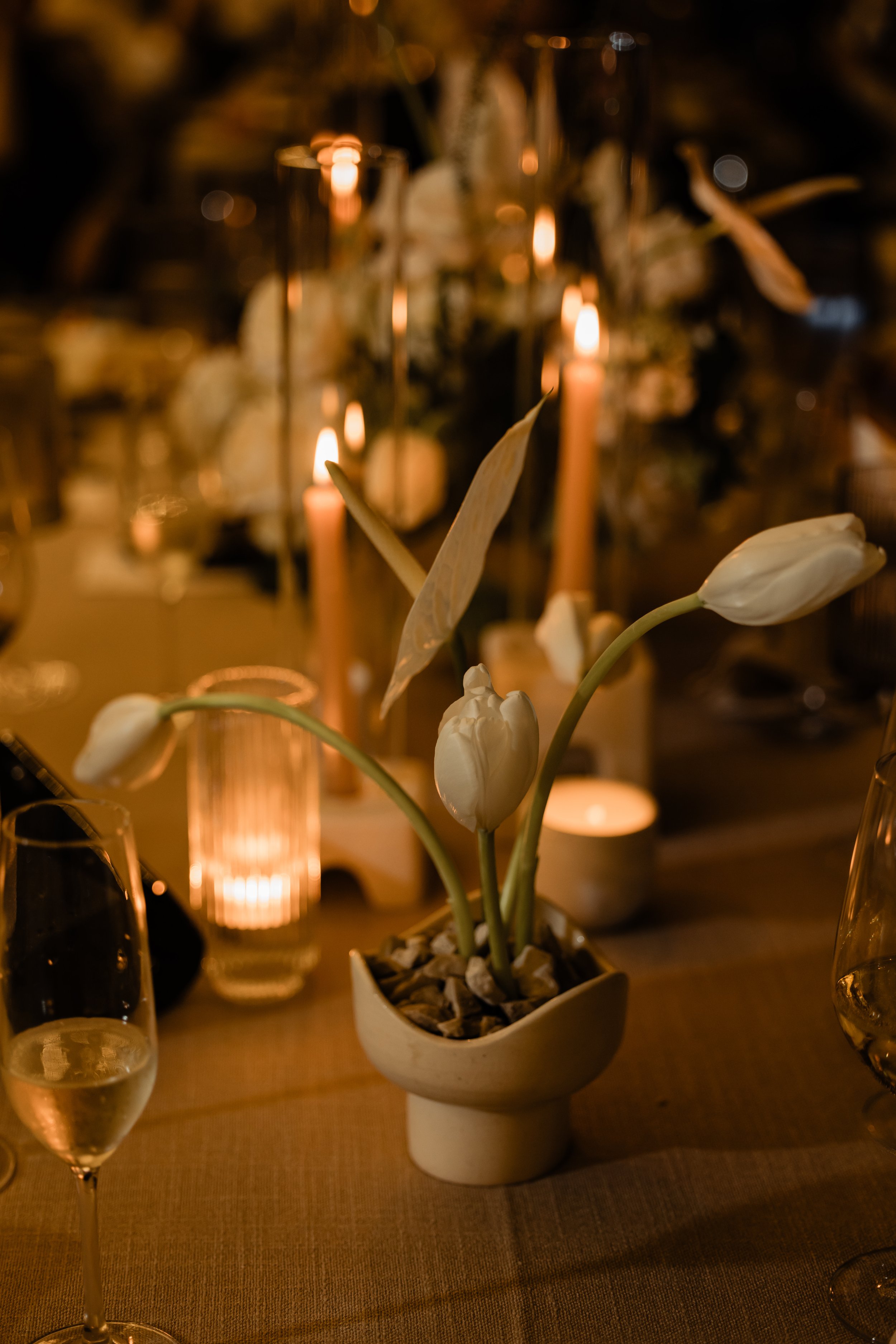 Fabi Rosas Cabo WEdding Photographer - J&M-817.jpg