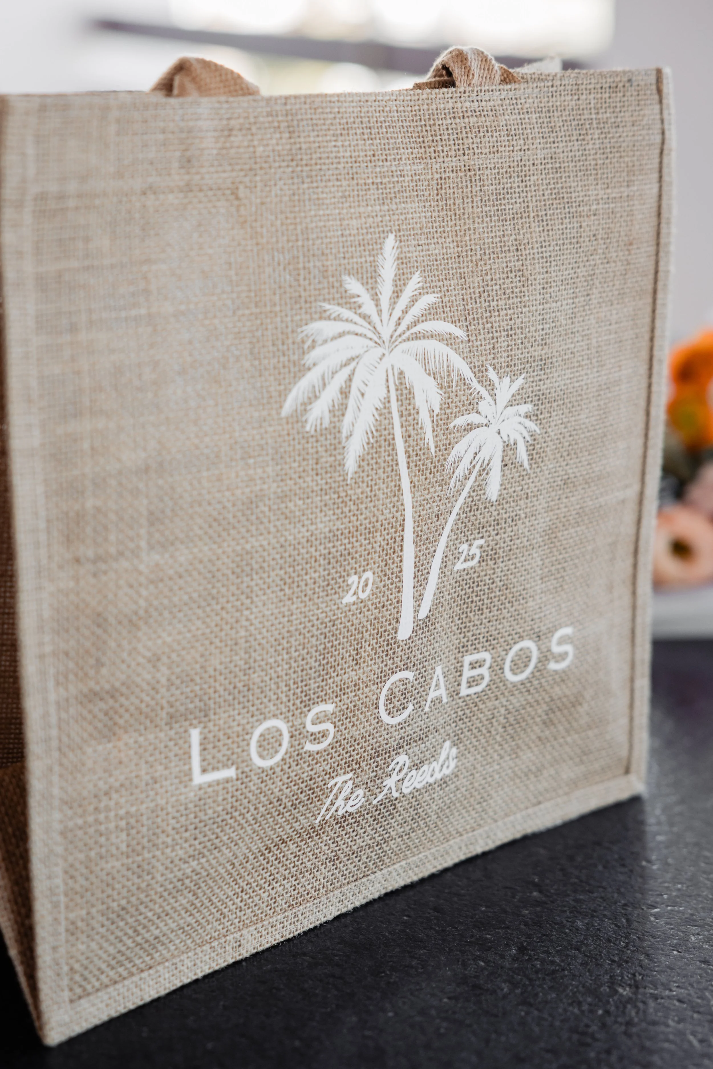 Fabi Rosas Photographer -Baja Luna Wedding - A&L-87.jpg