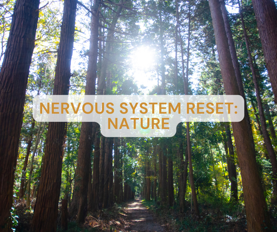 intro to forest bathing