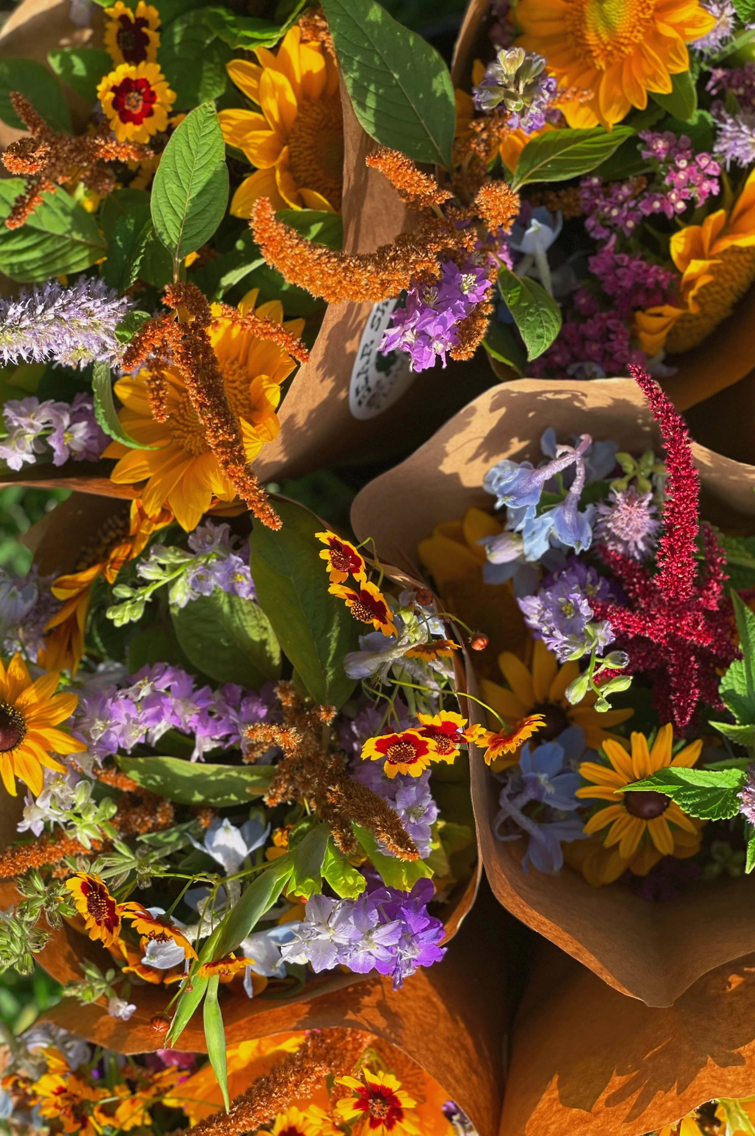 FullSizeRender_VSCO 9.JPG