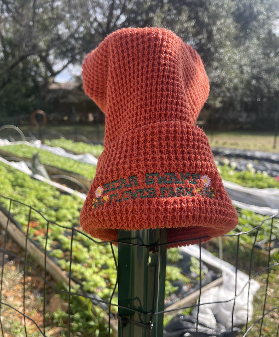 Screen Shot 2026-01-20 at 1.23.09 PM.png