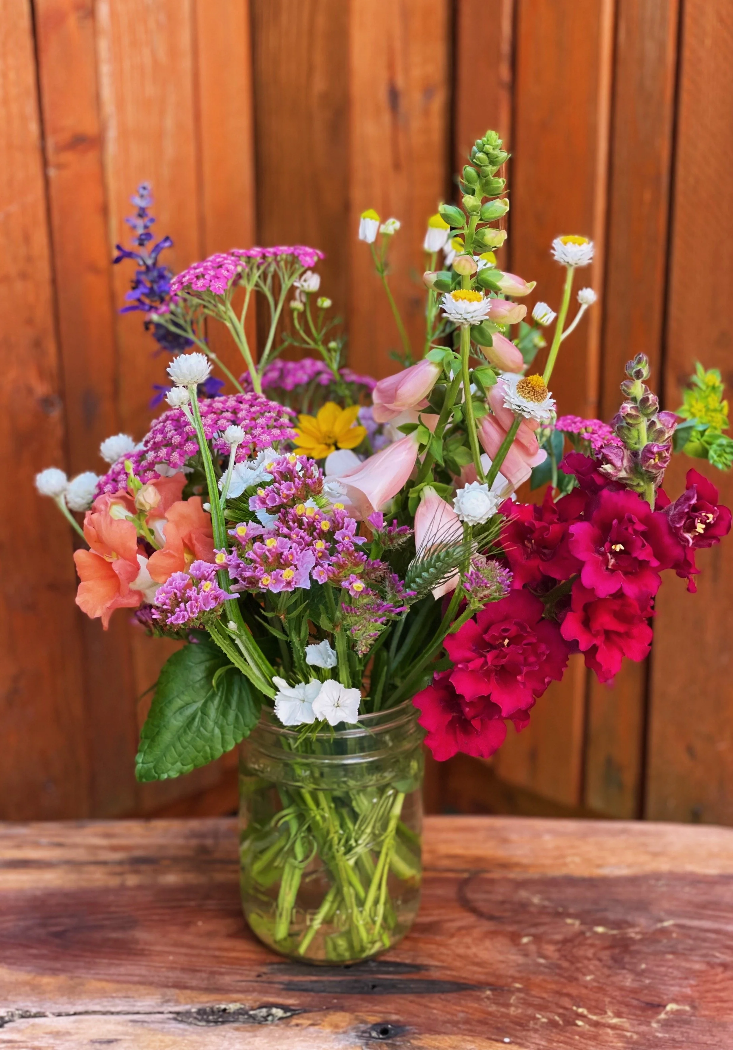 FullSizeRender_VSCO 4 copy 5.JPG