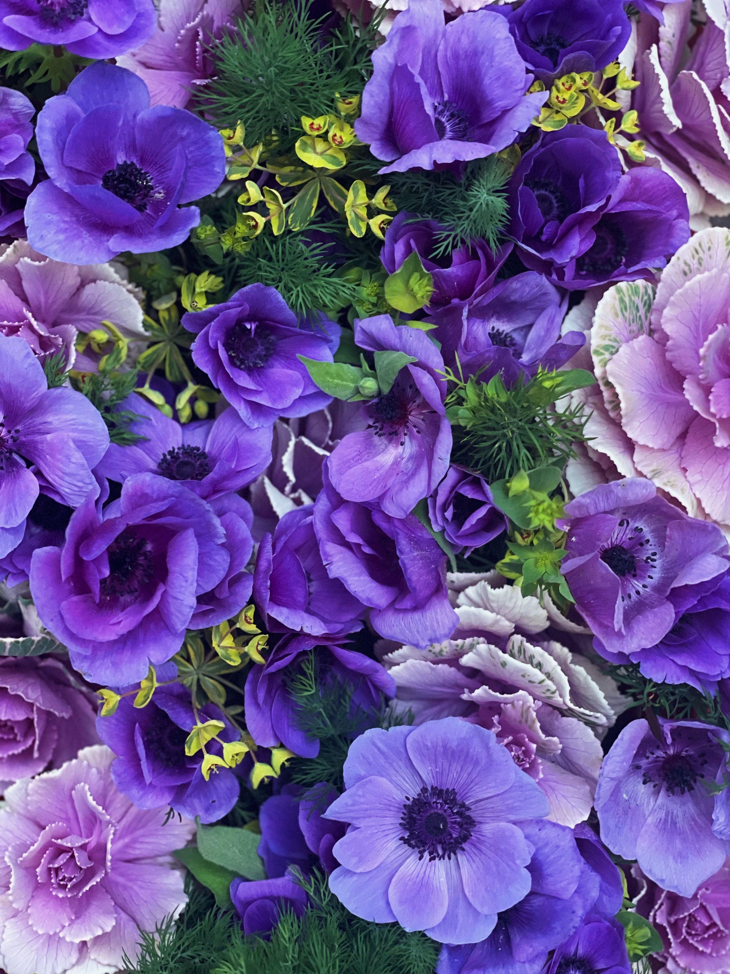 FullSizeRender_VSCO 4 copy.JPG