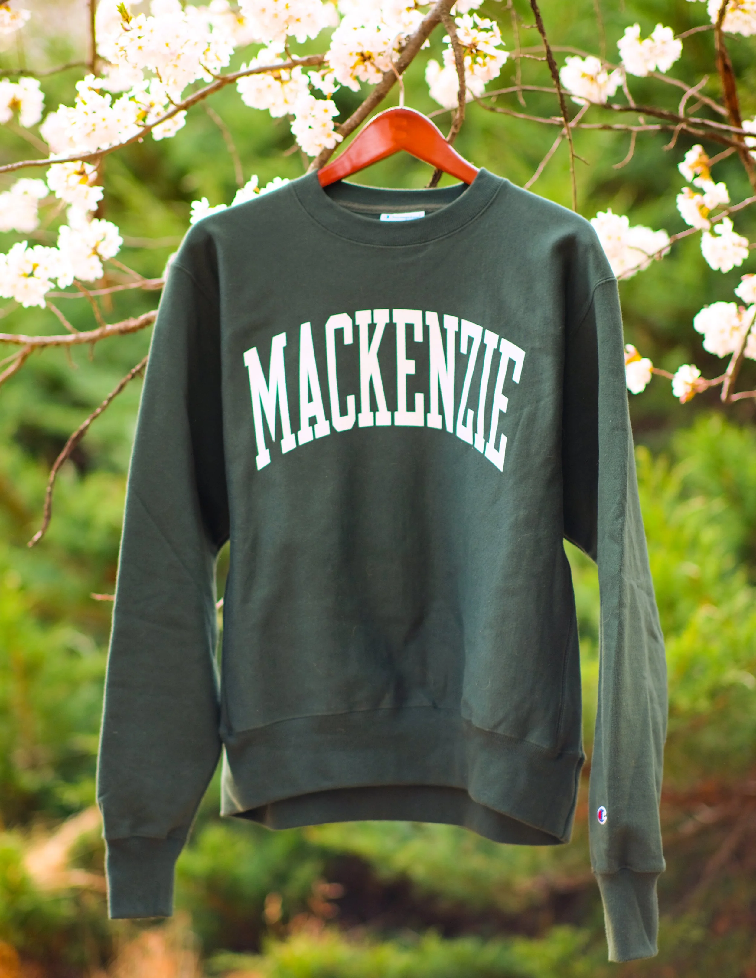 The Limited Mackenzie Crew Sweatshirt