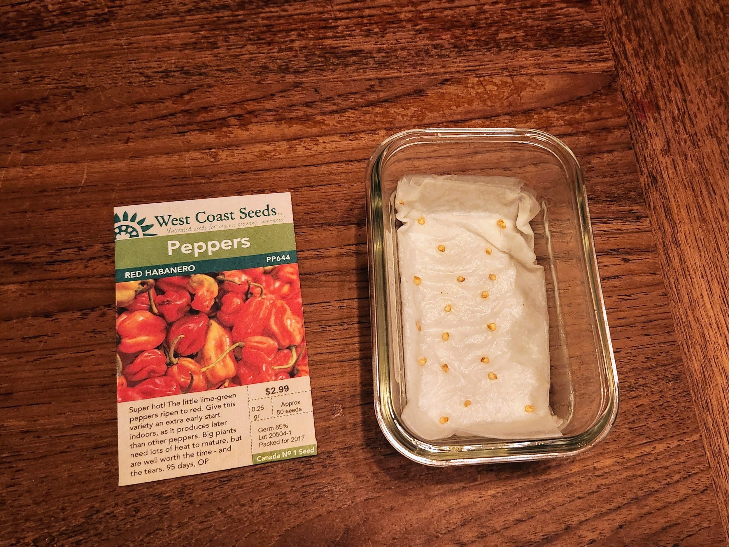 Sprouting pepper seeds