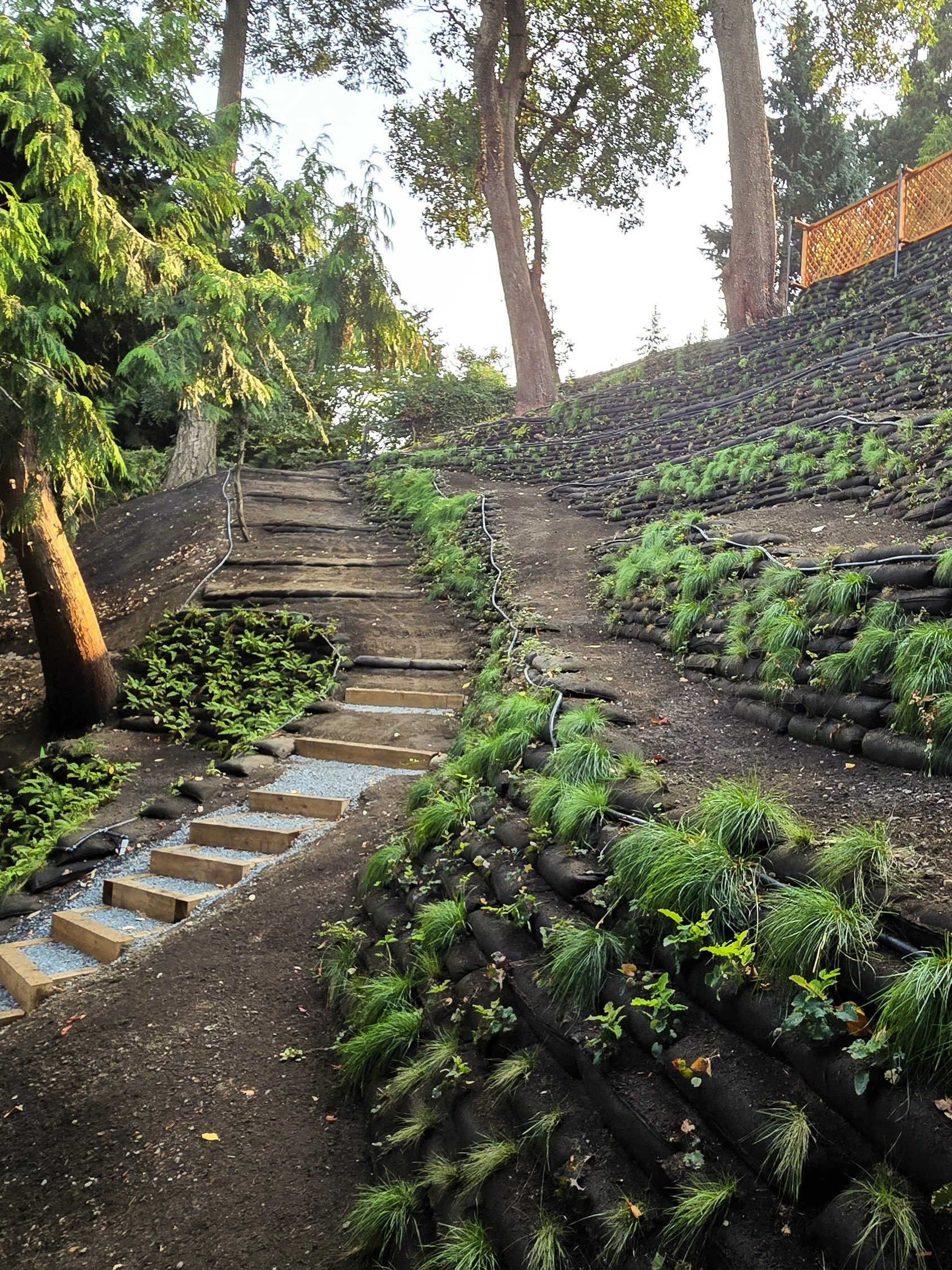 Slope Stabilization - Flex MSE