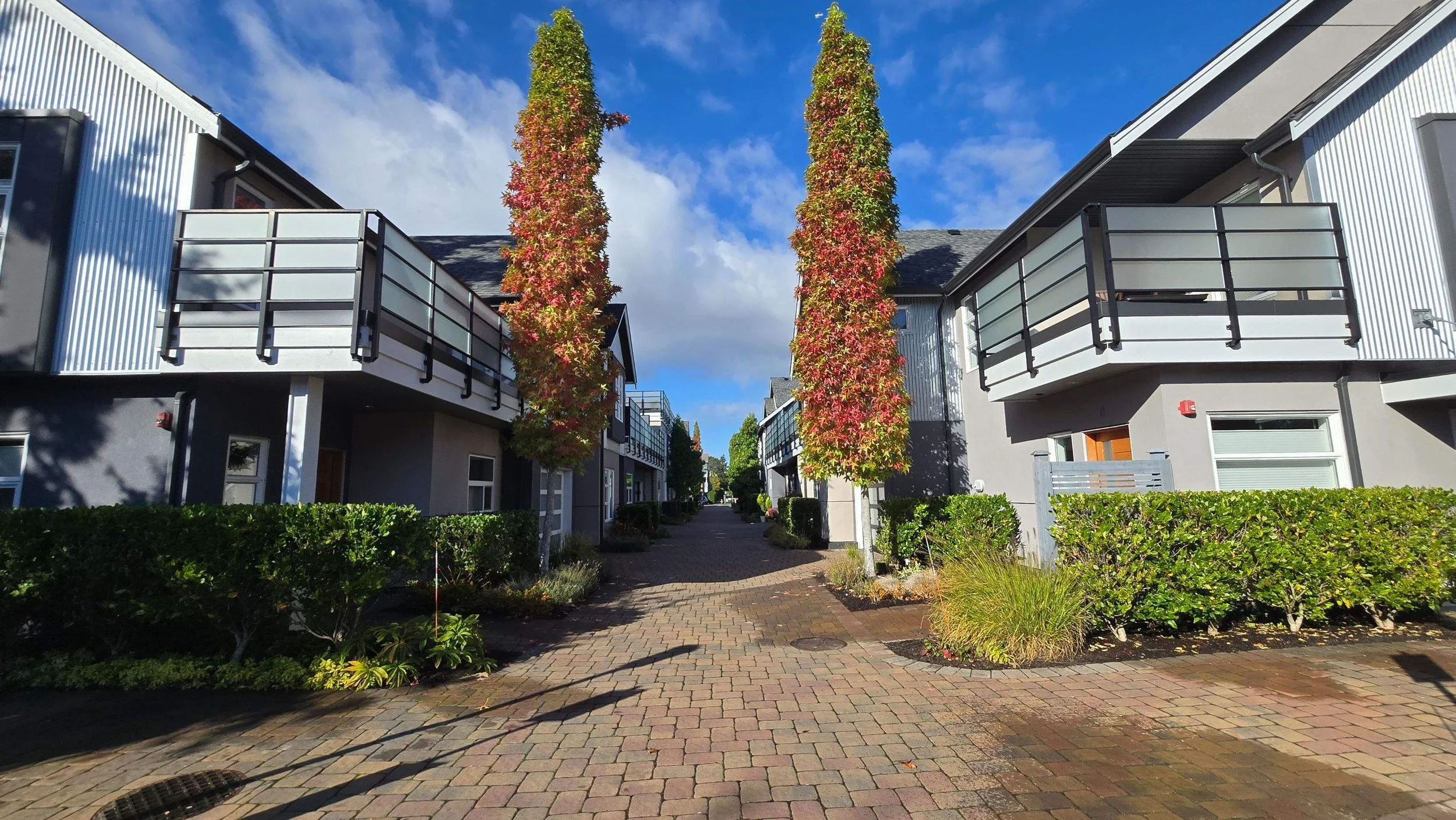 Sea Haven - Habanero Landscape Solutions - Garden Care