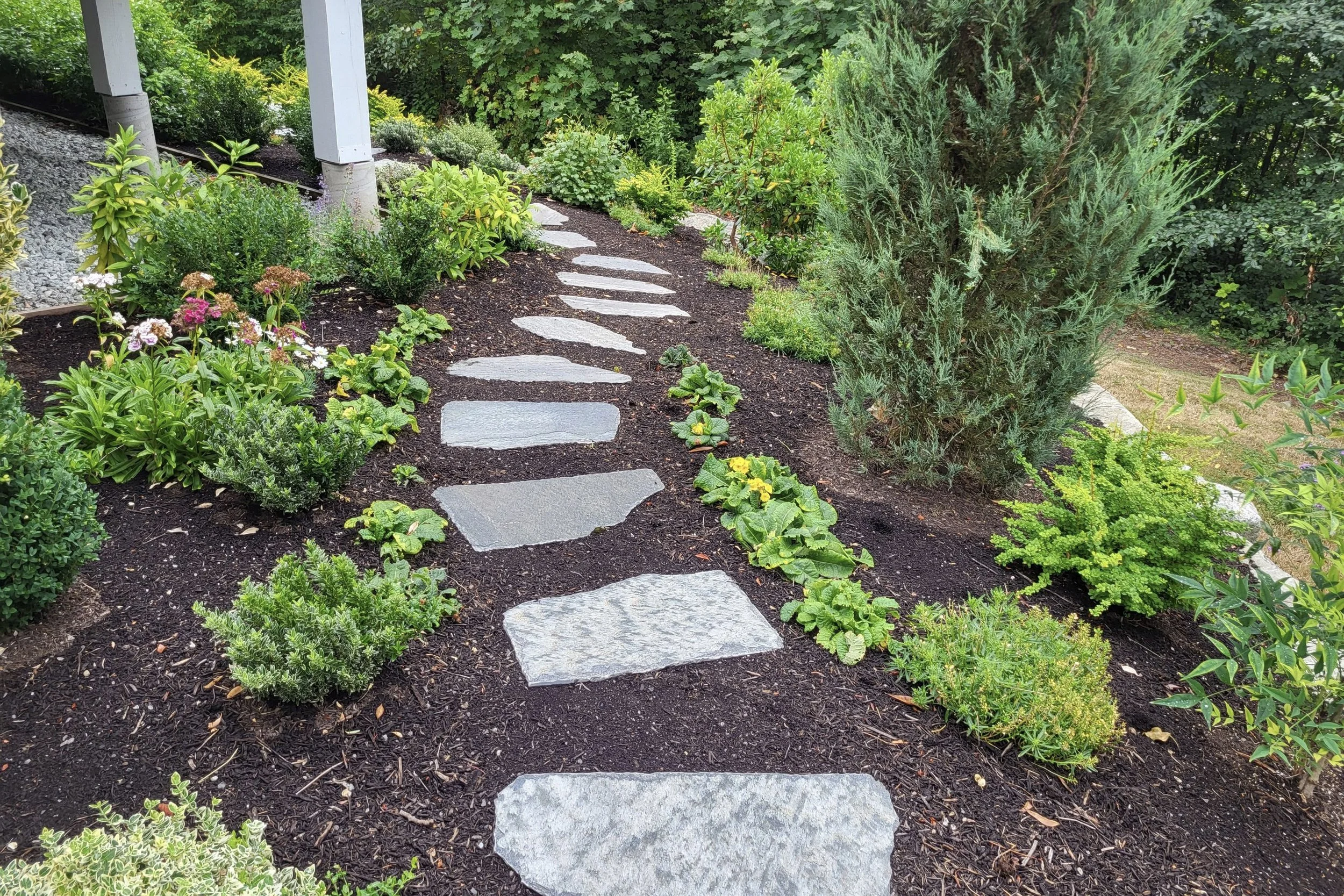 Garden Soil and Stepping Stones
