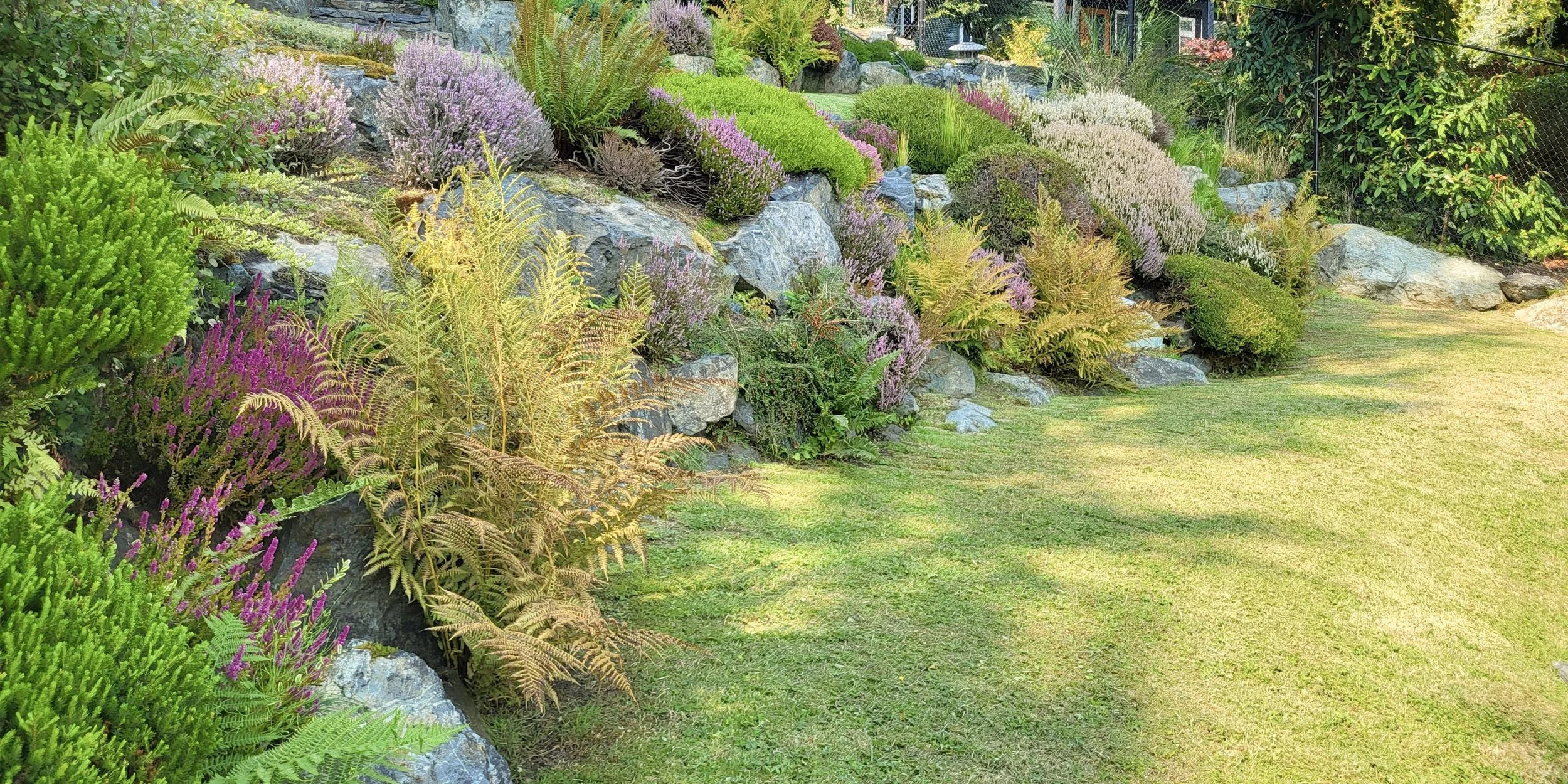 Mature Garden