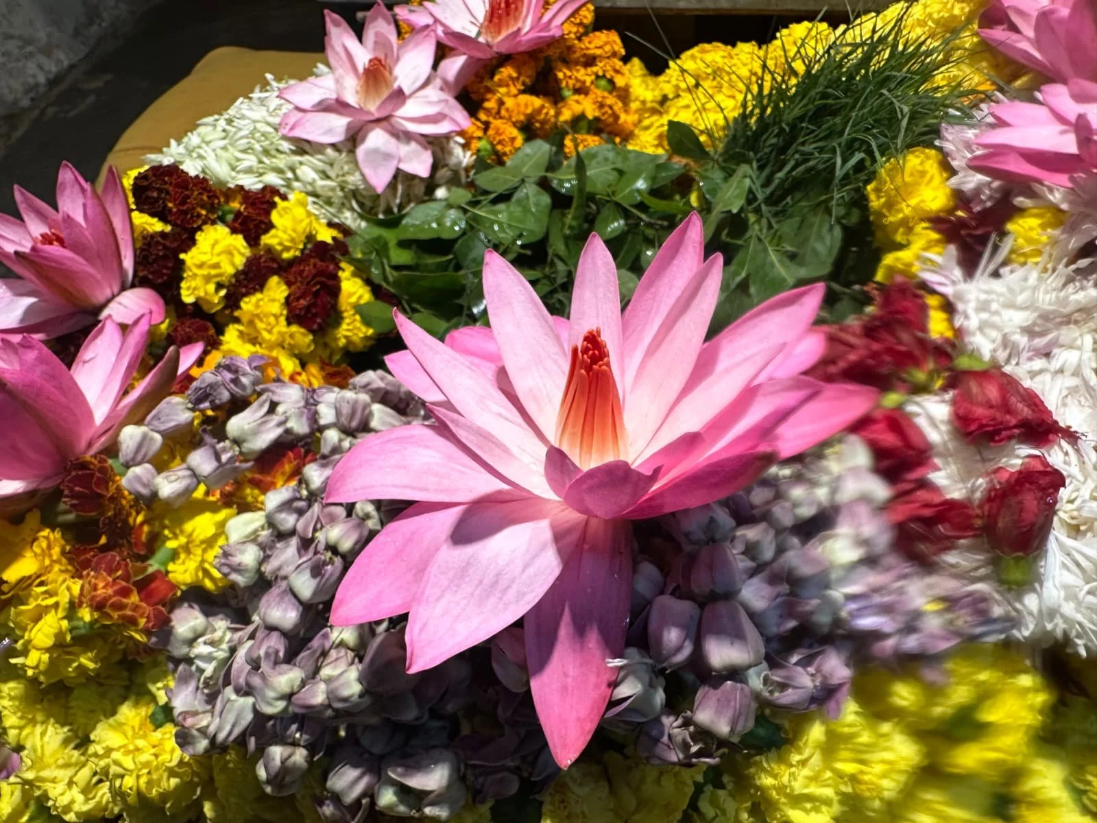 Befriending our Curiosity 