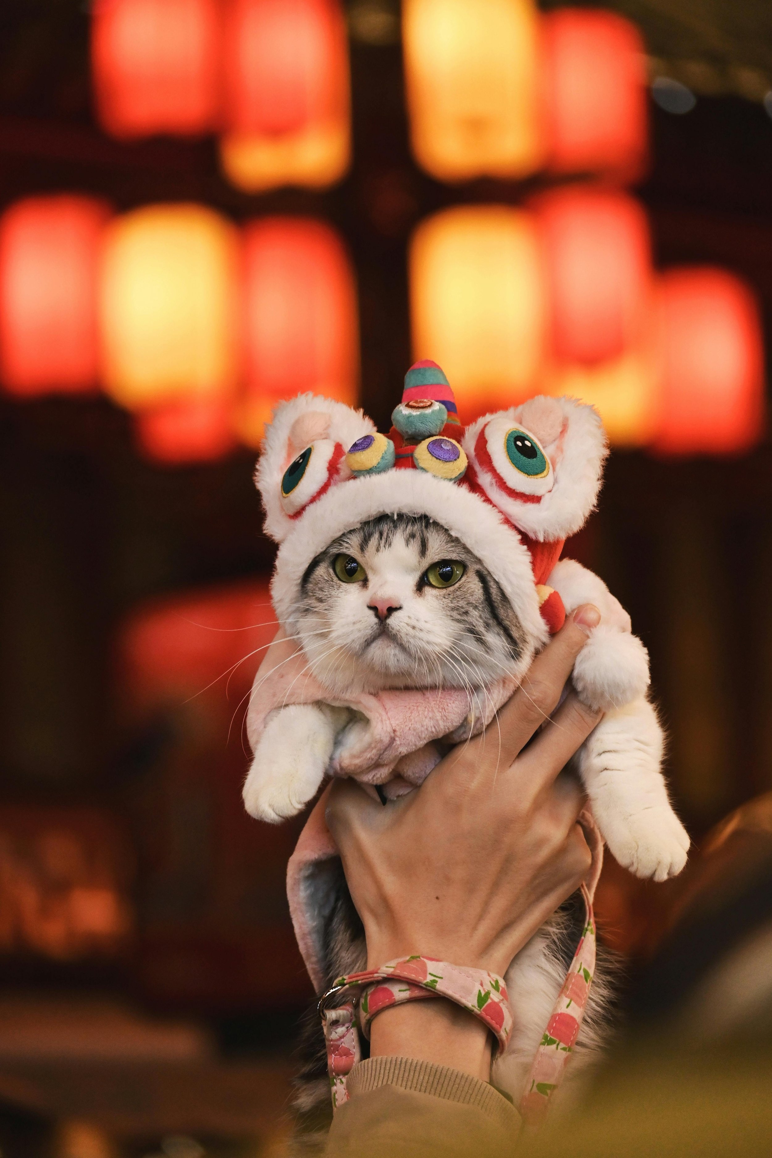 What Last-Minute Chinese New Year House Deco and Design Can I Do Before I Start Celebrations?