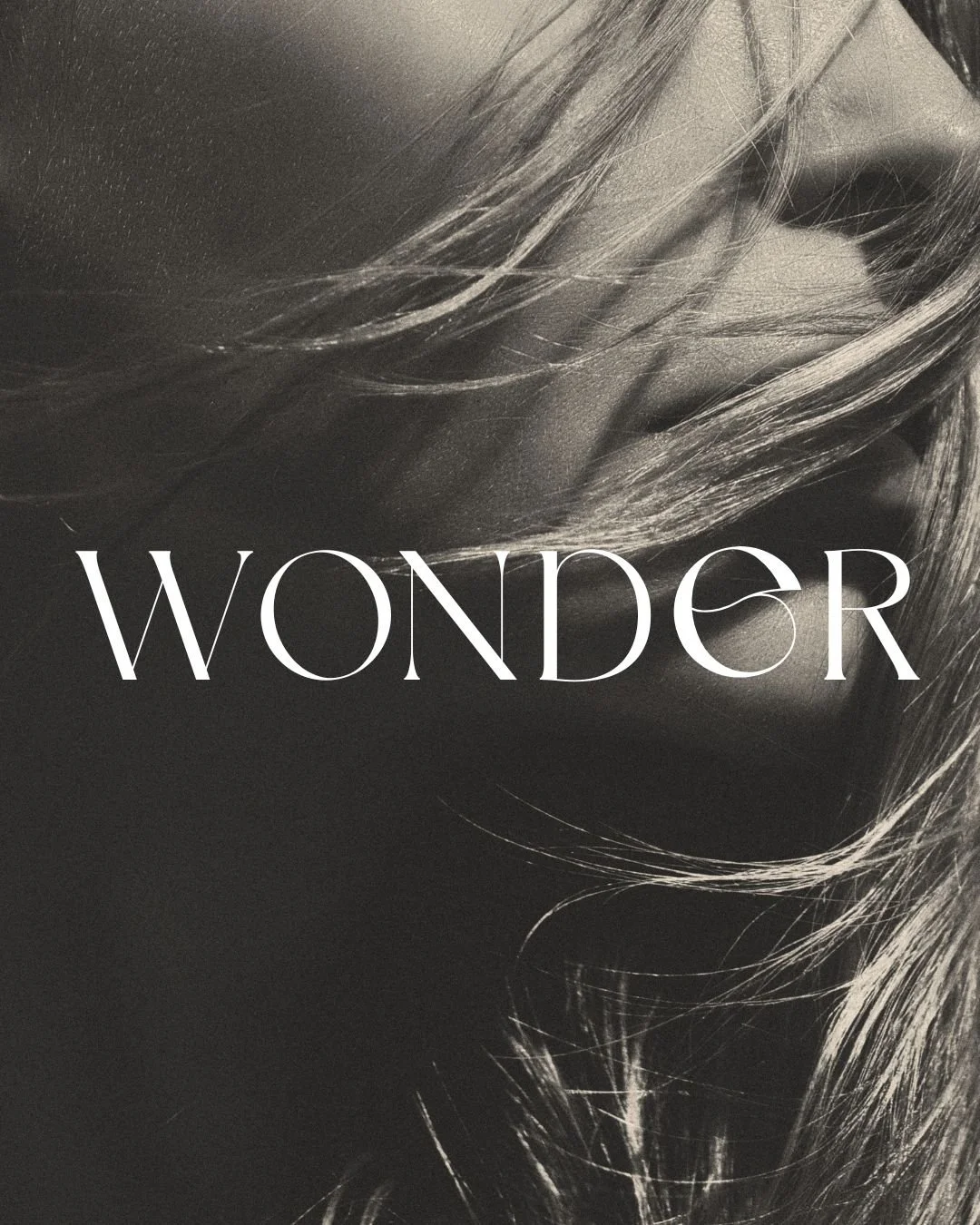 wonder-brand-logo.jpg