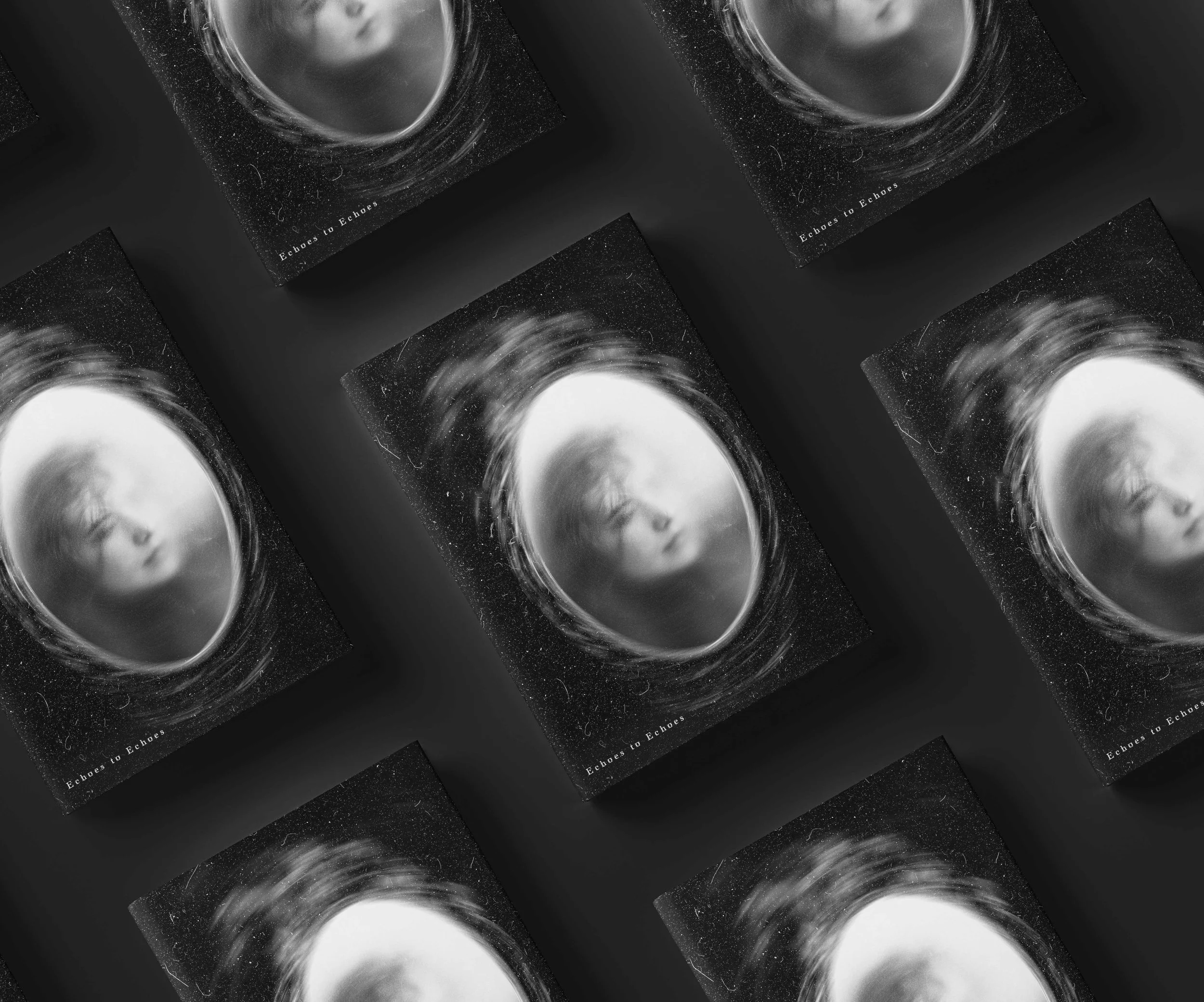 Echoes to Echoes lostdigix - book cover.jpg