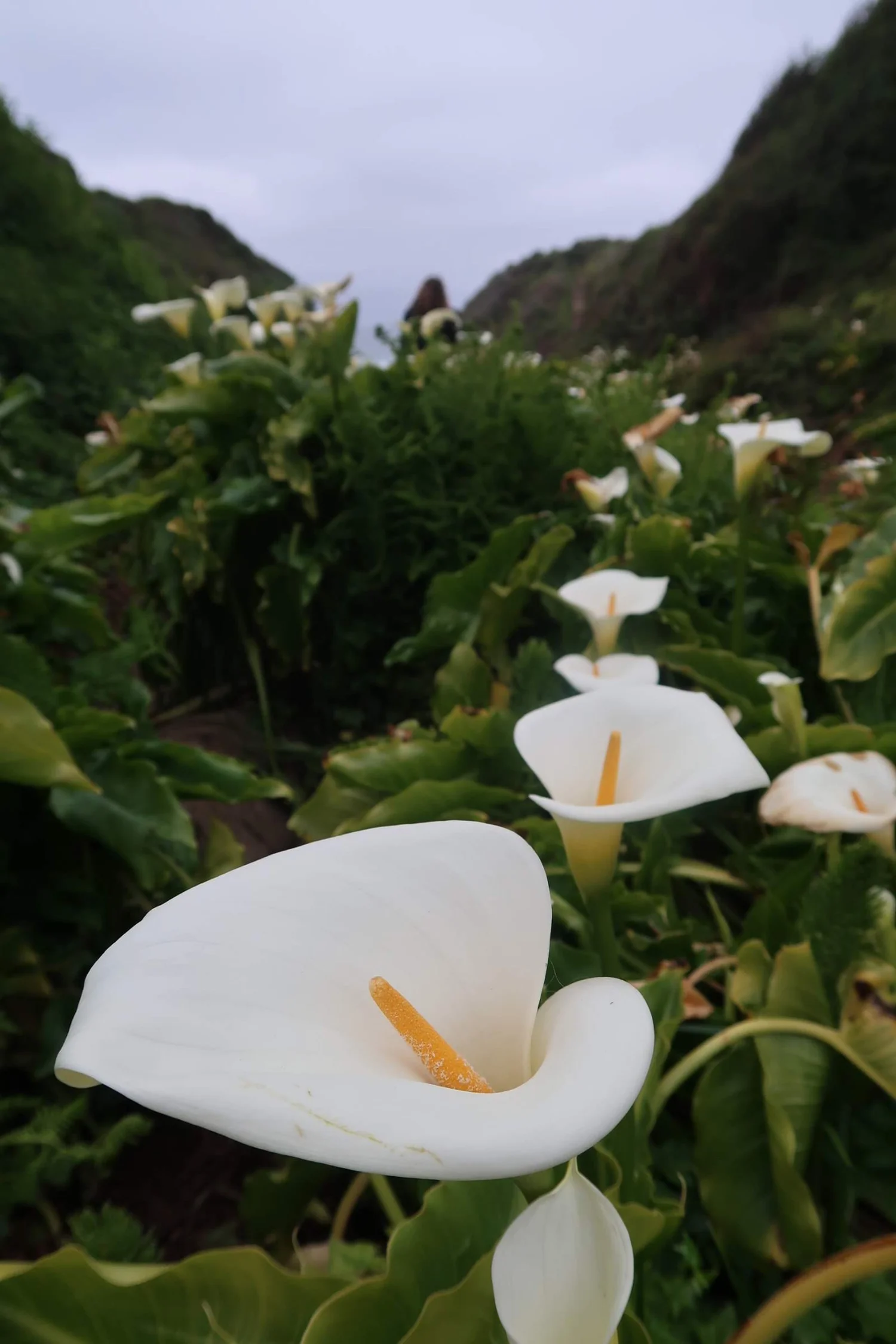 We are living in the moment.