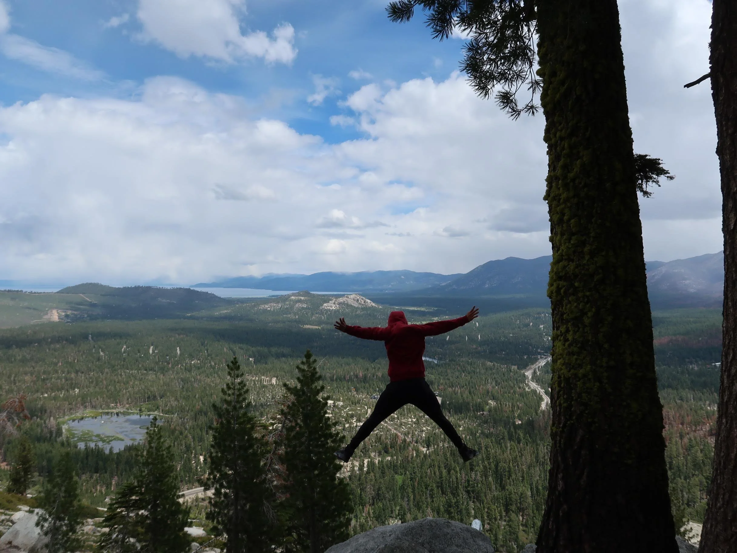 %22Fly High Little Bird%22.JPG