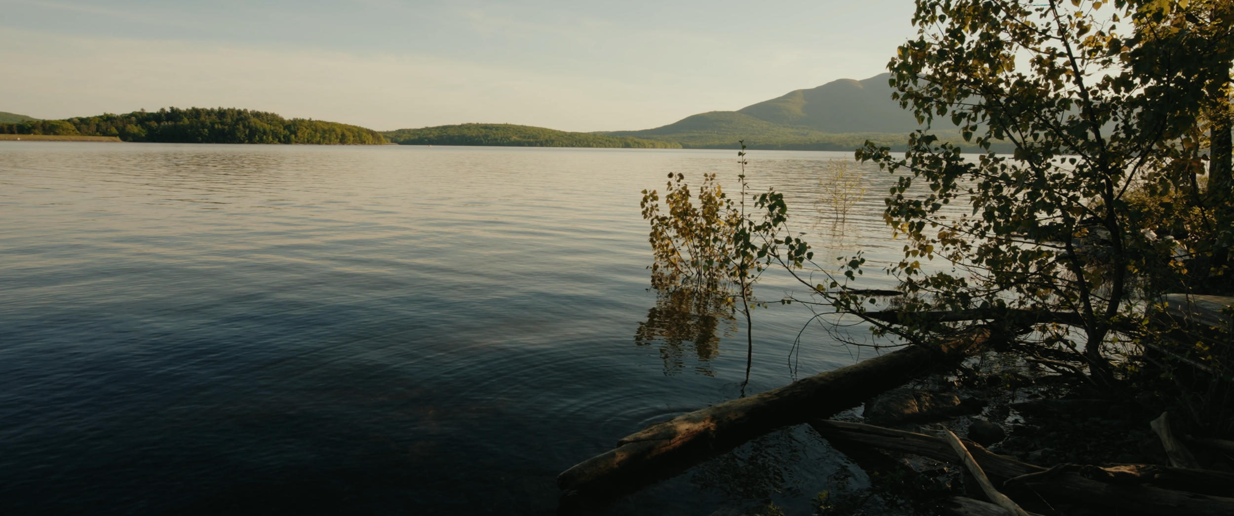 Screenshot 2026-03-22 111936.png