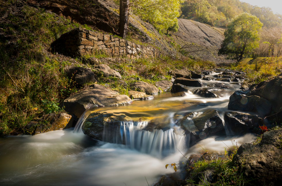 Nature's Playground