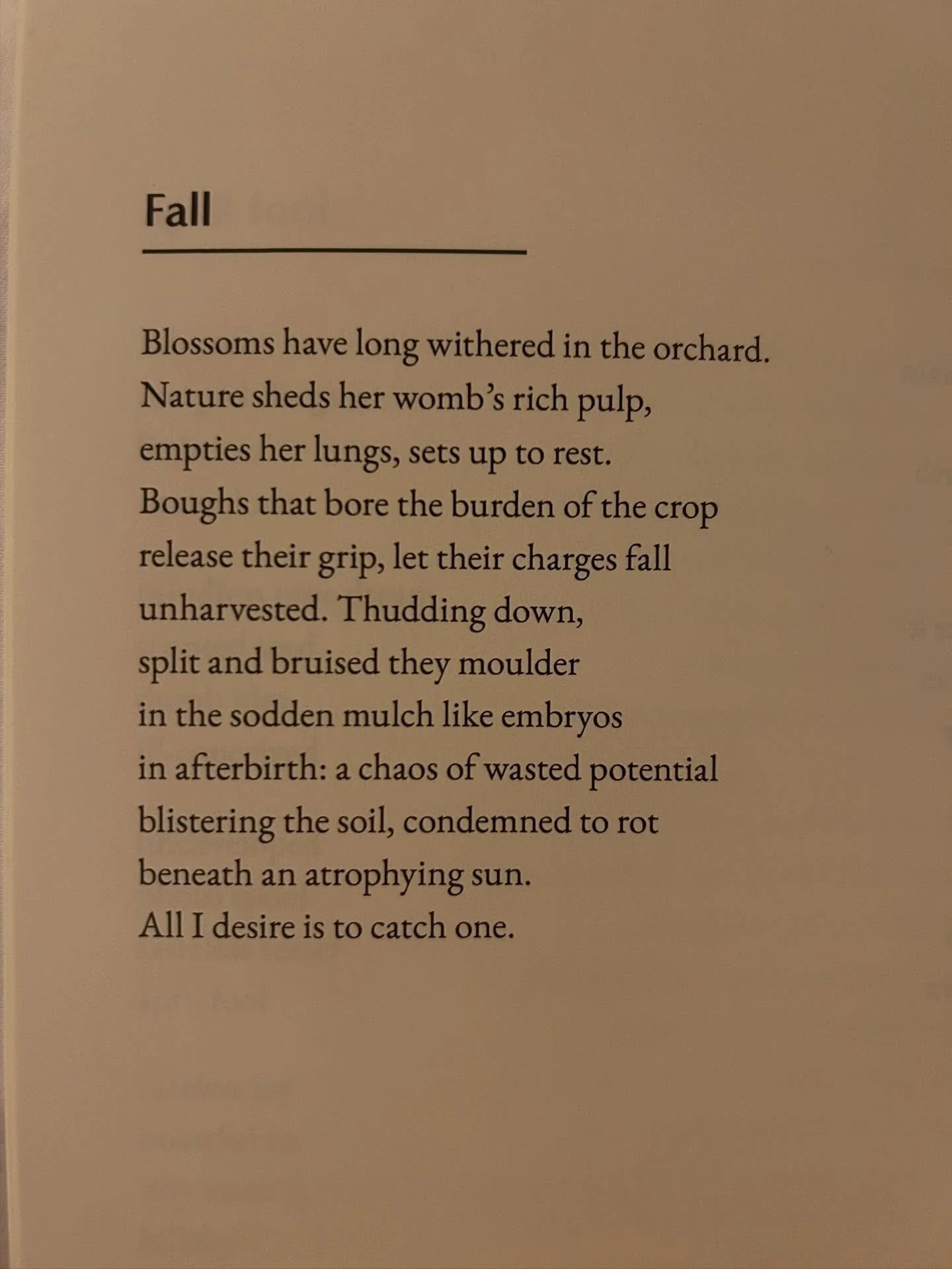 All I desire is to catch one 🍎 🍂 

Fall from Thoughts on Waking - available on Amazon 

#poem #autumnpoetry #scottishpoetry #poetry #equinox